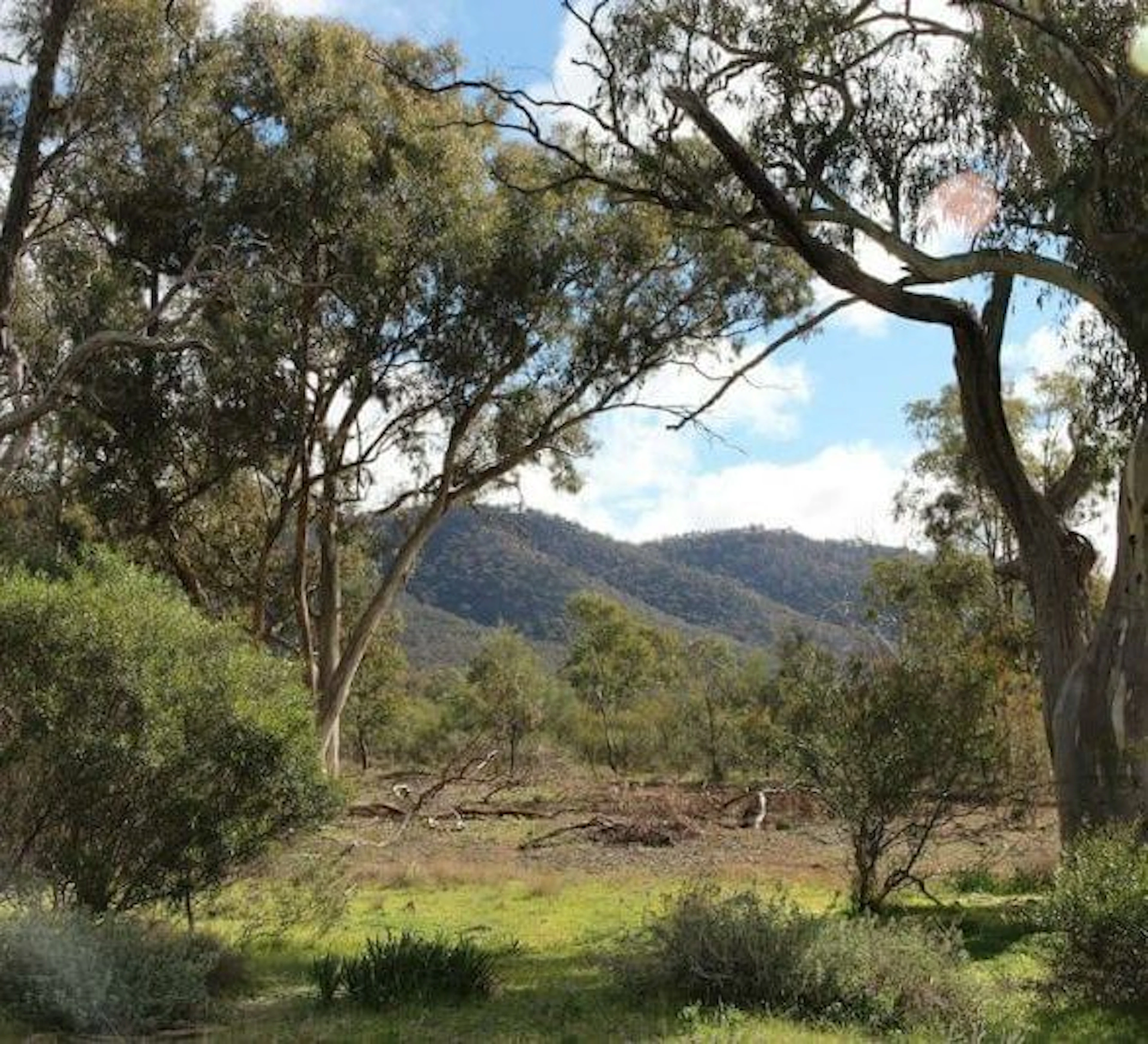 Kookaburra Creek Retreat in Melrose, SA — photo 3