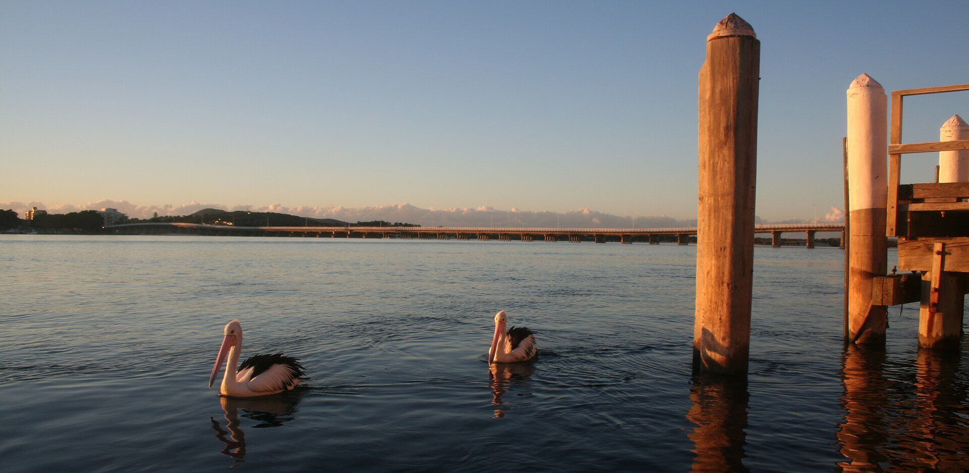 Twin Dolphins Holiday Park in Tuncurry, NSW — photo 2