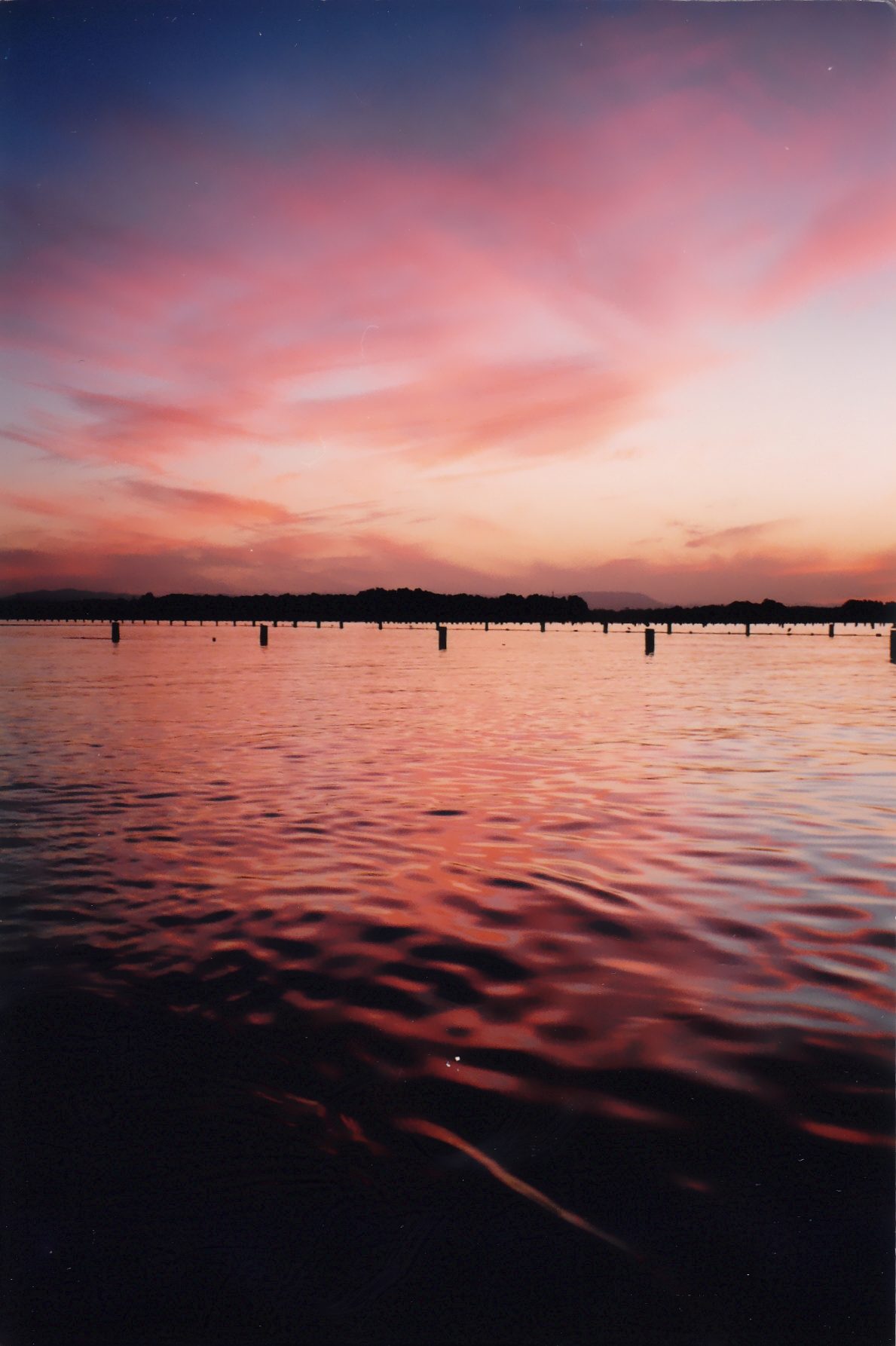 Twin Dolphins Holiday Park — Tuncurry, NSW