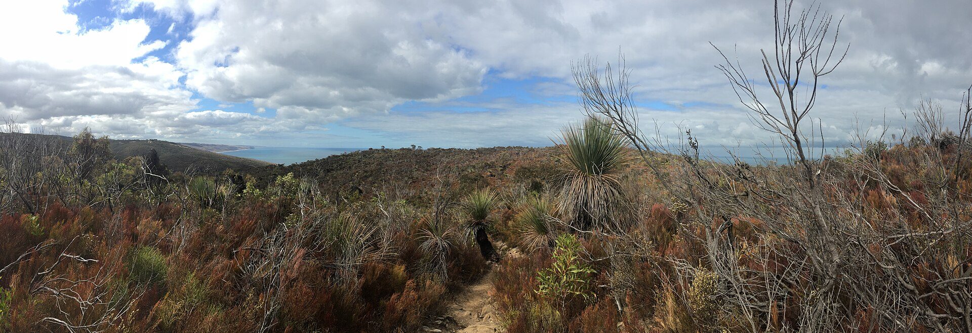 Trig Campground Deep Creek Conservation Park — Deep Creek, SA