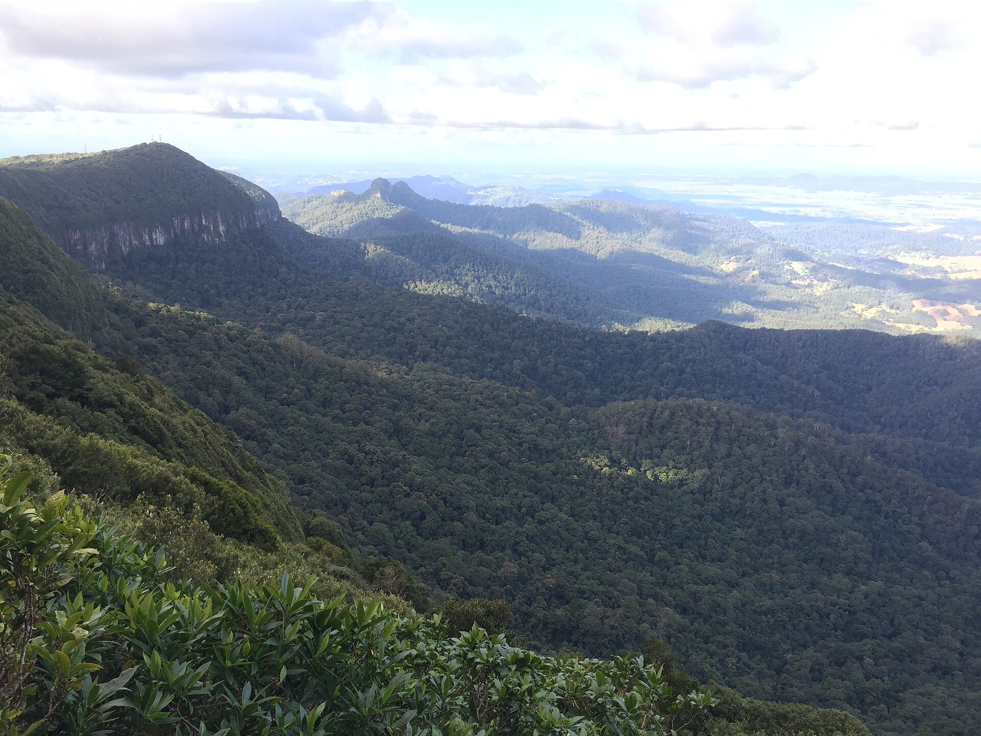 Best of All Lookout in Springbrook, QLD — photo 1