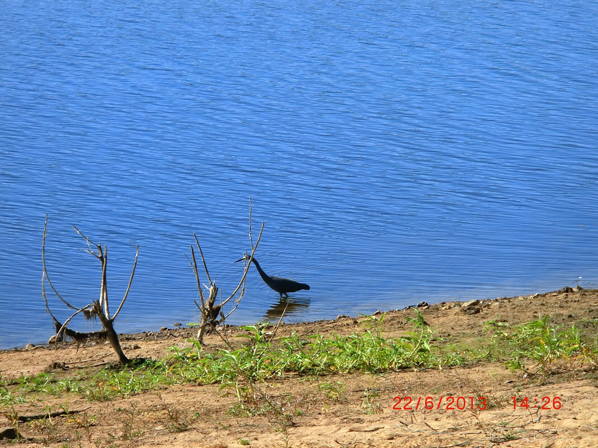 Lake Belmore Recreation Area in Croydon, QLD — photo 3