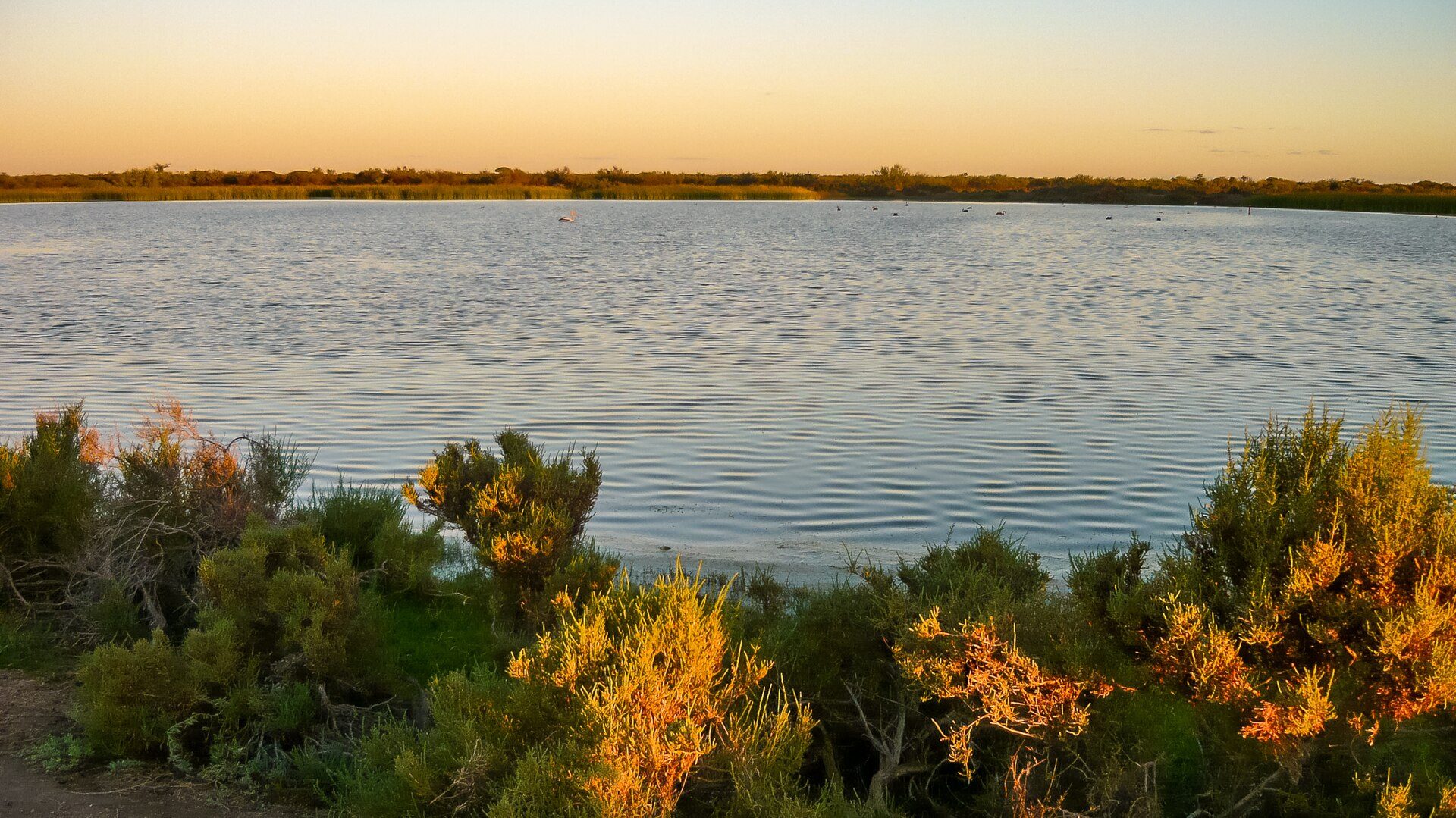 Hamelin Outback Station Stay — Hamelin Pool, WA