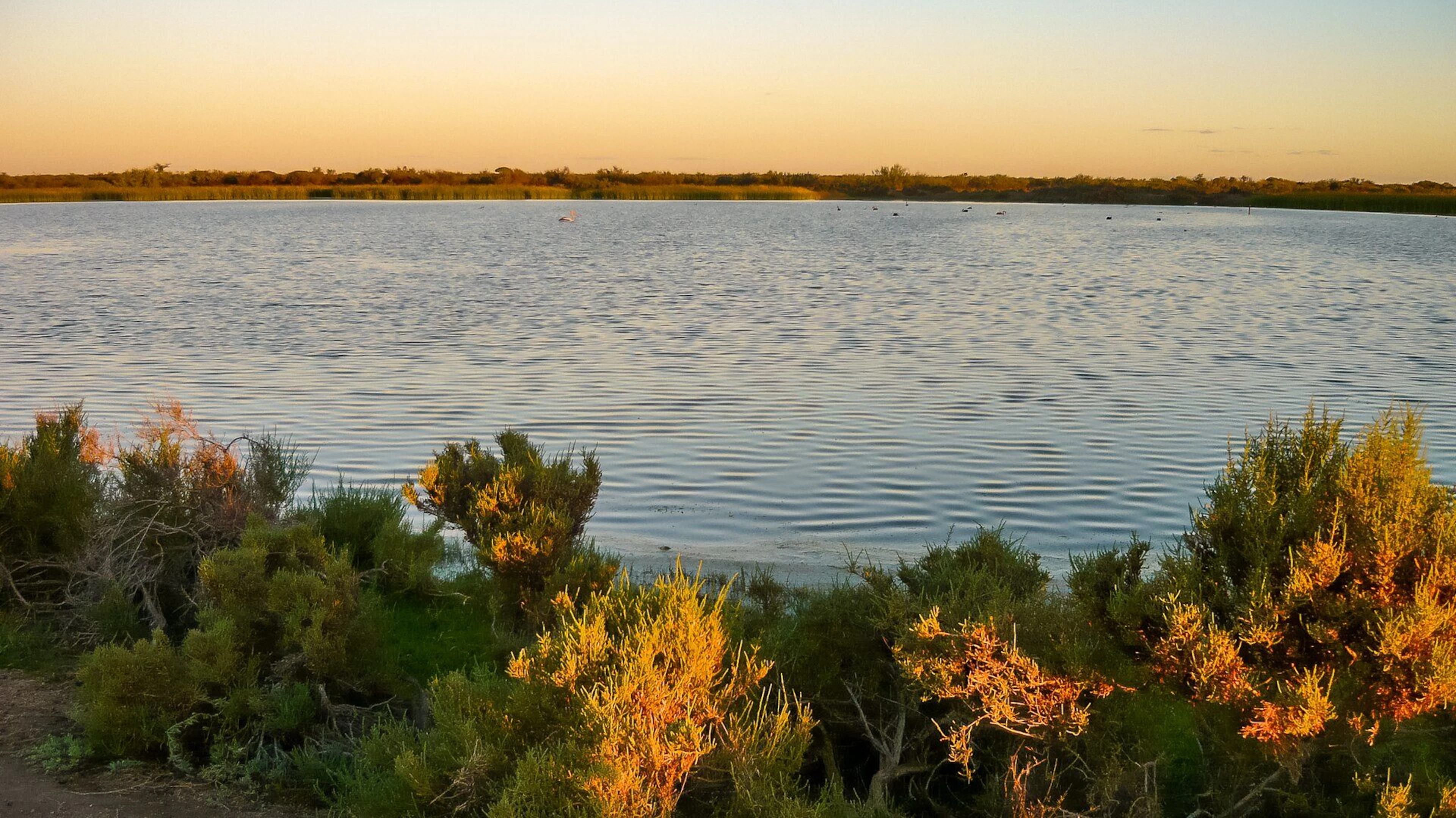 Hamelin Outback Station Stay in Hamelin Pool, WA — photo 1