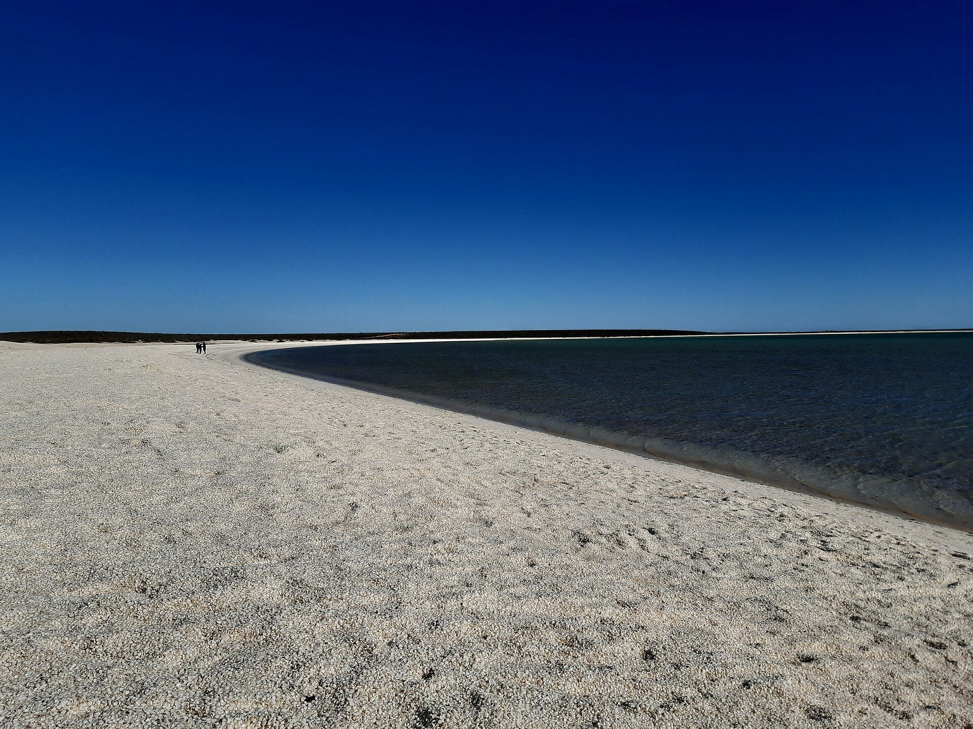 Shell Beach in Shark Bay, WA — photo 1