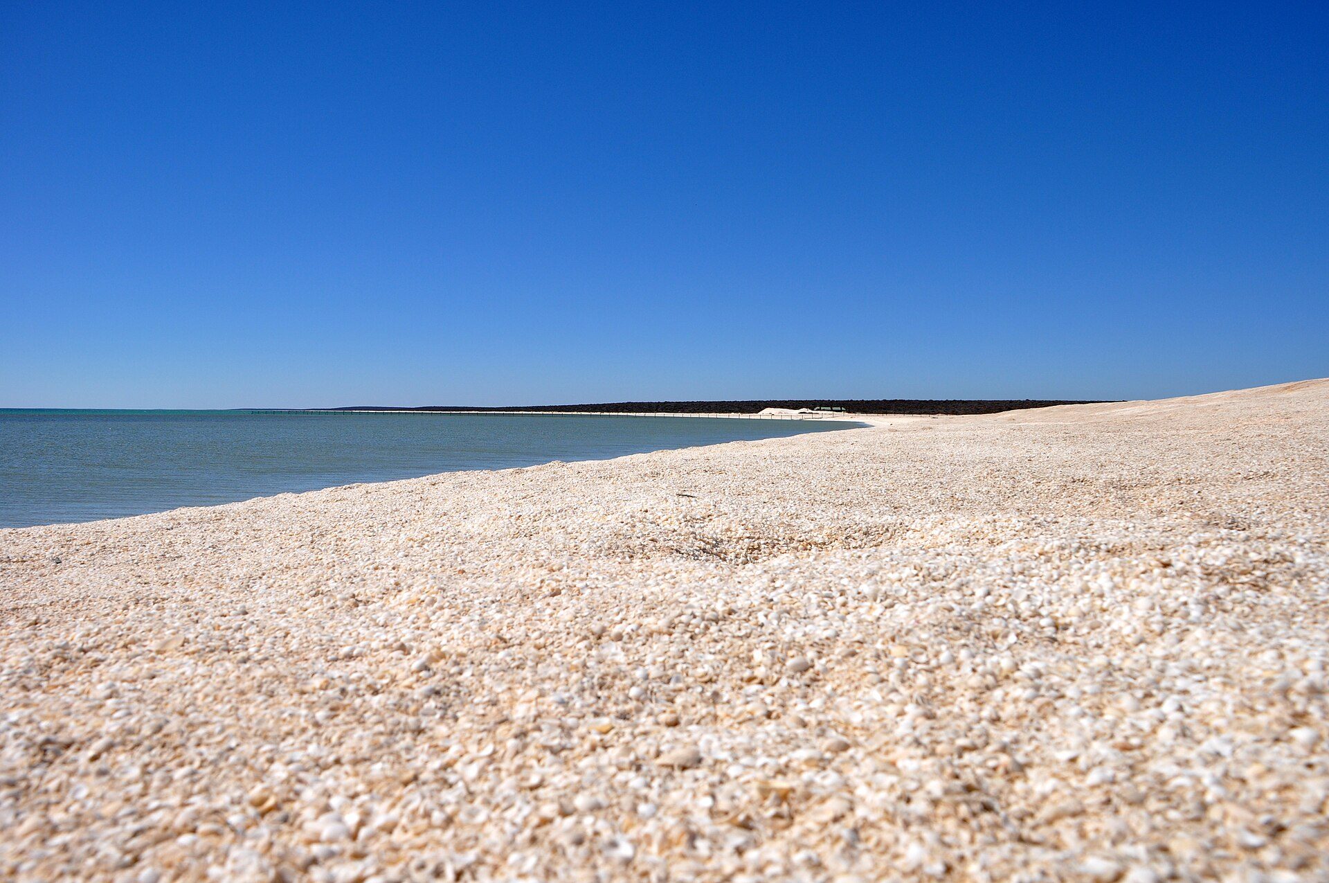 Shell Beach in Shark Bay, WA — photo 3