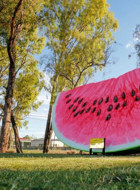 Chinchilla Tourist Park — Chinchilla, QLD