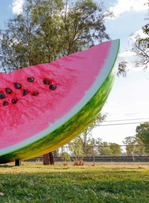 Chinchilla Tourist Park in Chinchilla, QLD — photo 3