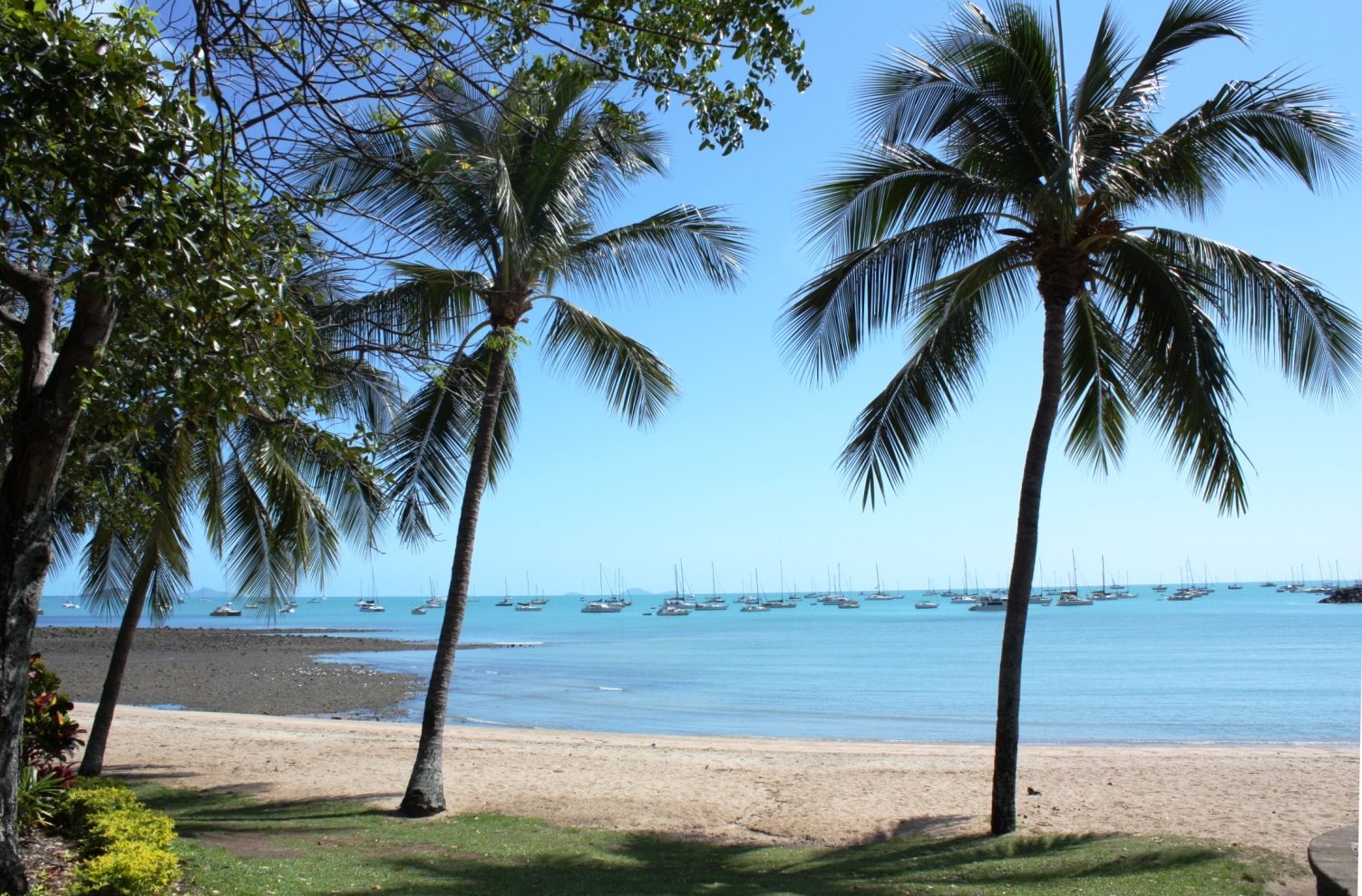 Seabreeze Tourist Park in Cannonvale, QLD — photo 3