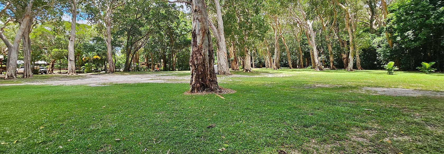 Cooktown Peninsula Caravan Park in Cooktown, QLD — photo 1
