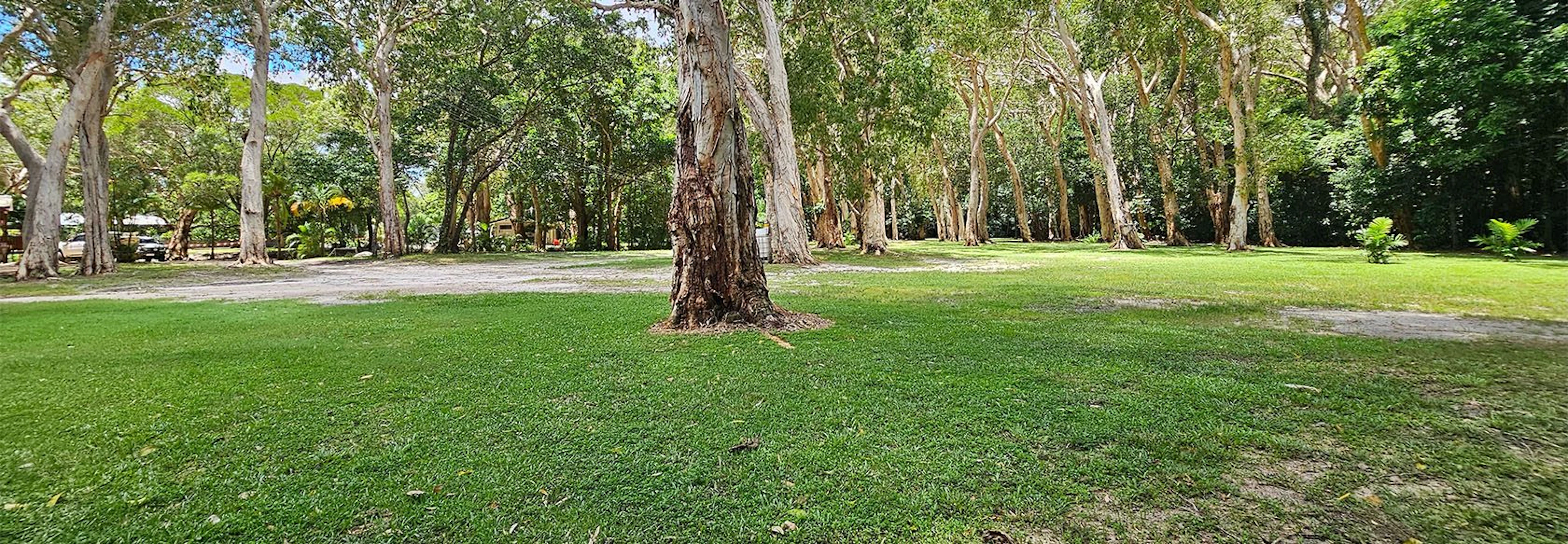 Cooktown Peninsula Caravan Park in Cooktown, QLD — photo 1