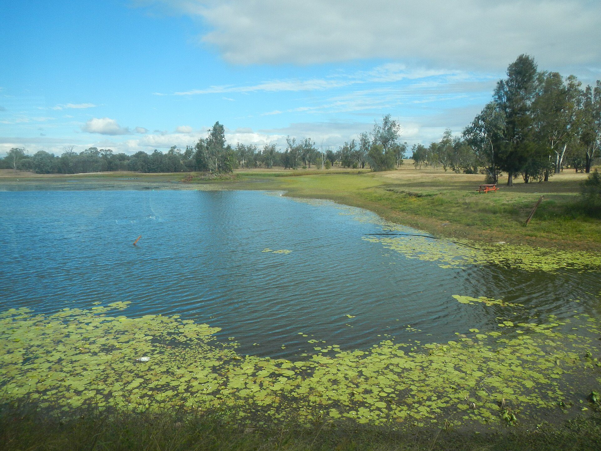 Anakie Crossroads Rest Area — Anakie, QLD