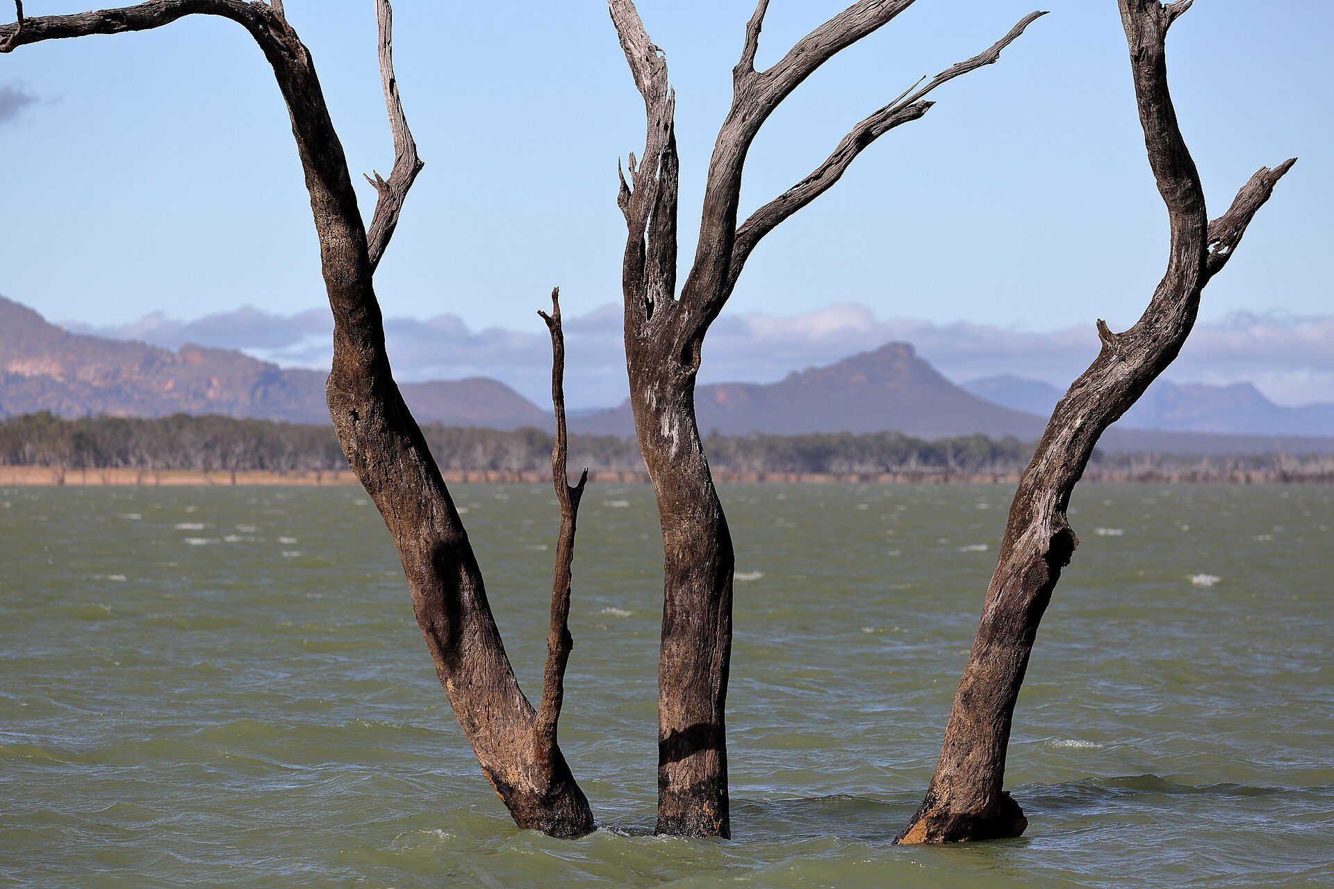 Taylors Lake Reservoir Camping Area in St Helens Plains, VIC — photo 2