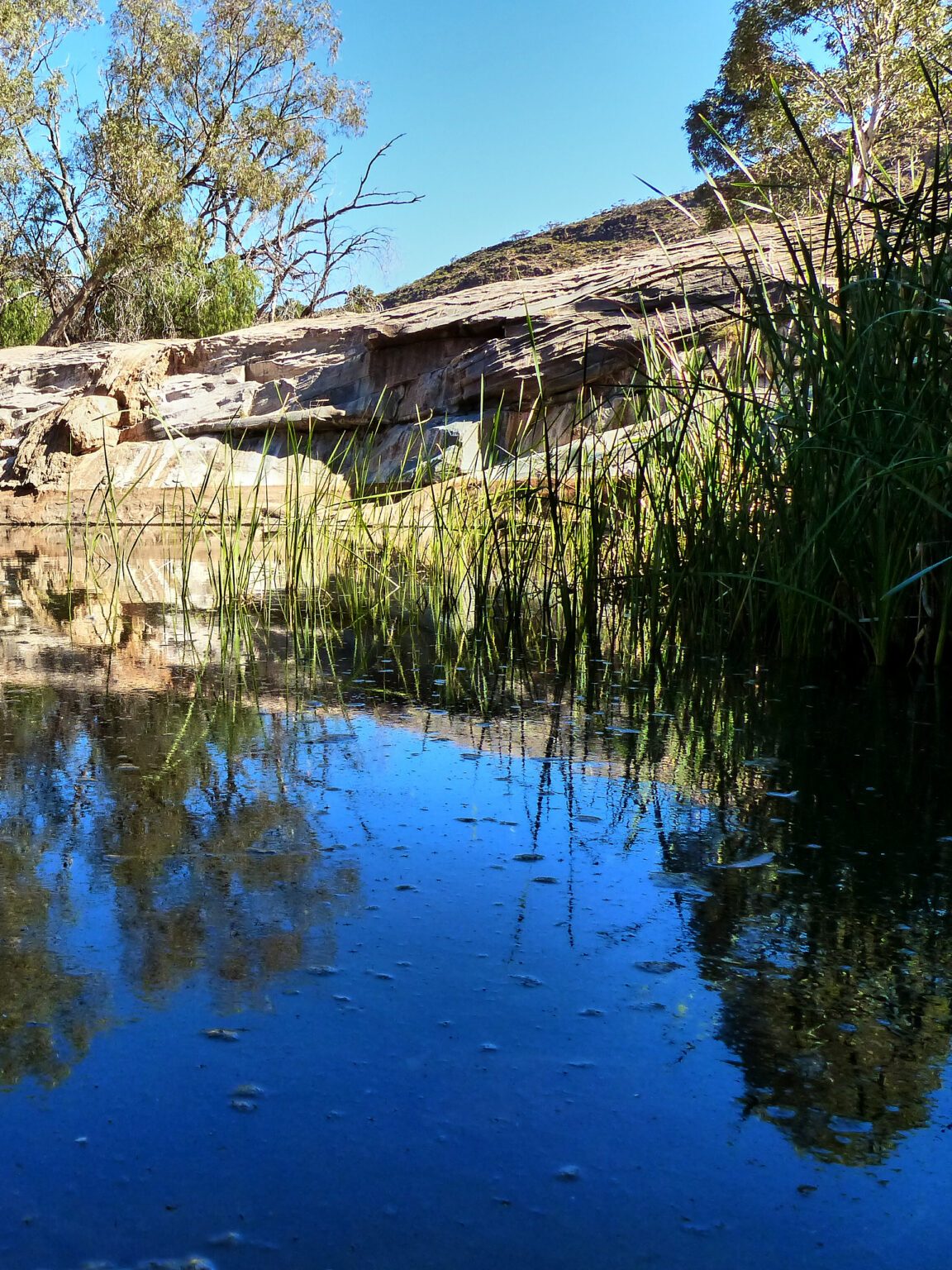 Alpana Station in Blinman, SA — photo 4