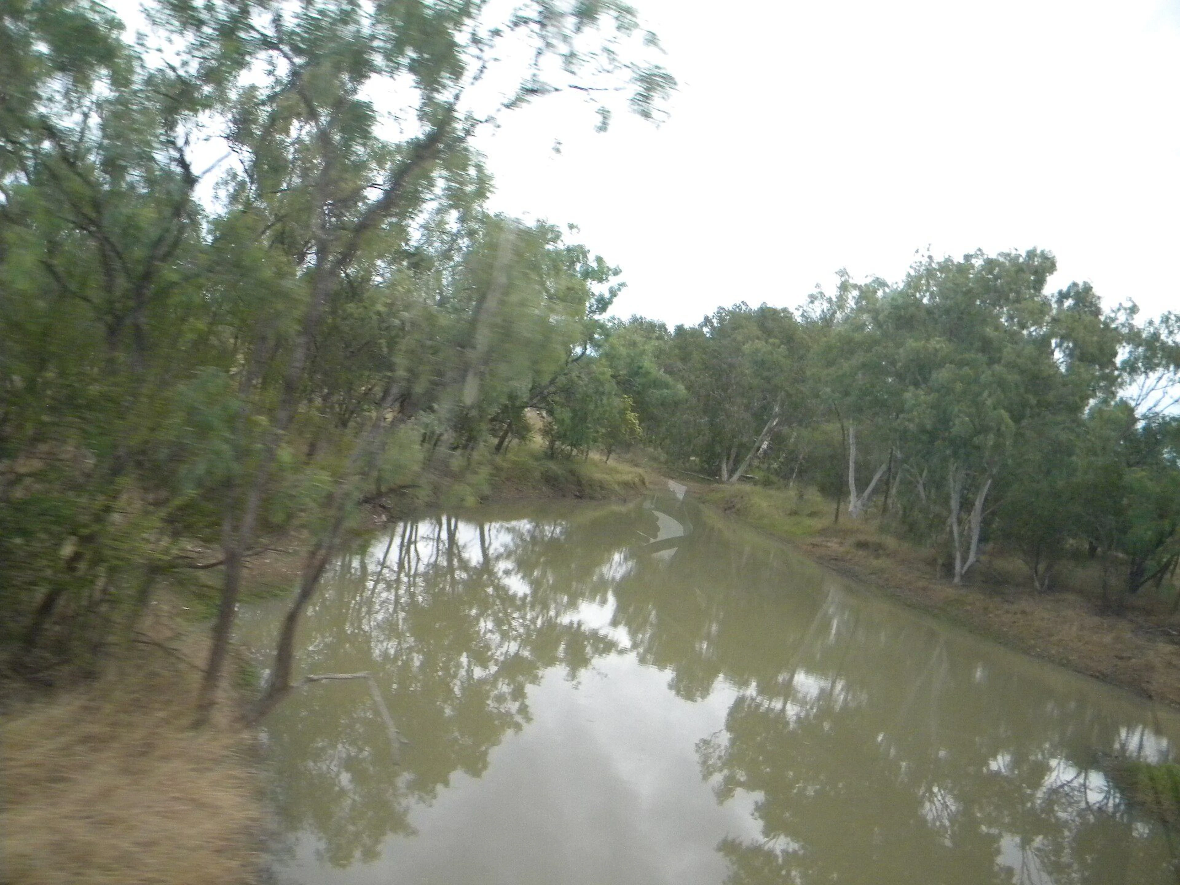 Phil Schaffert Bridge Rest Area in Howitt, QLD β photo 1