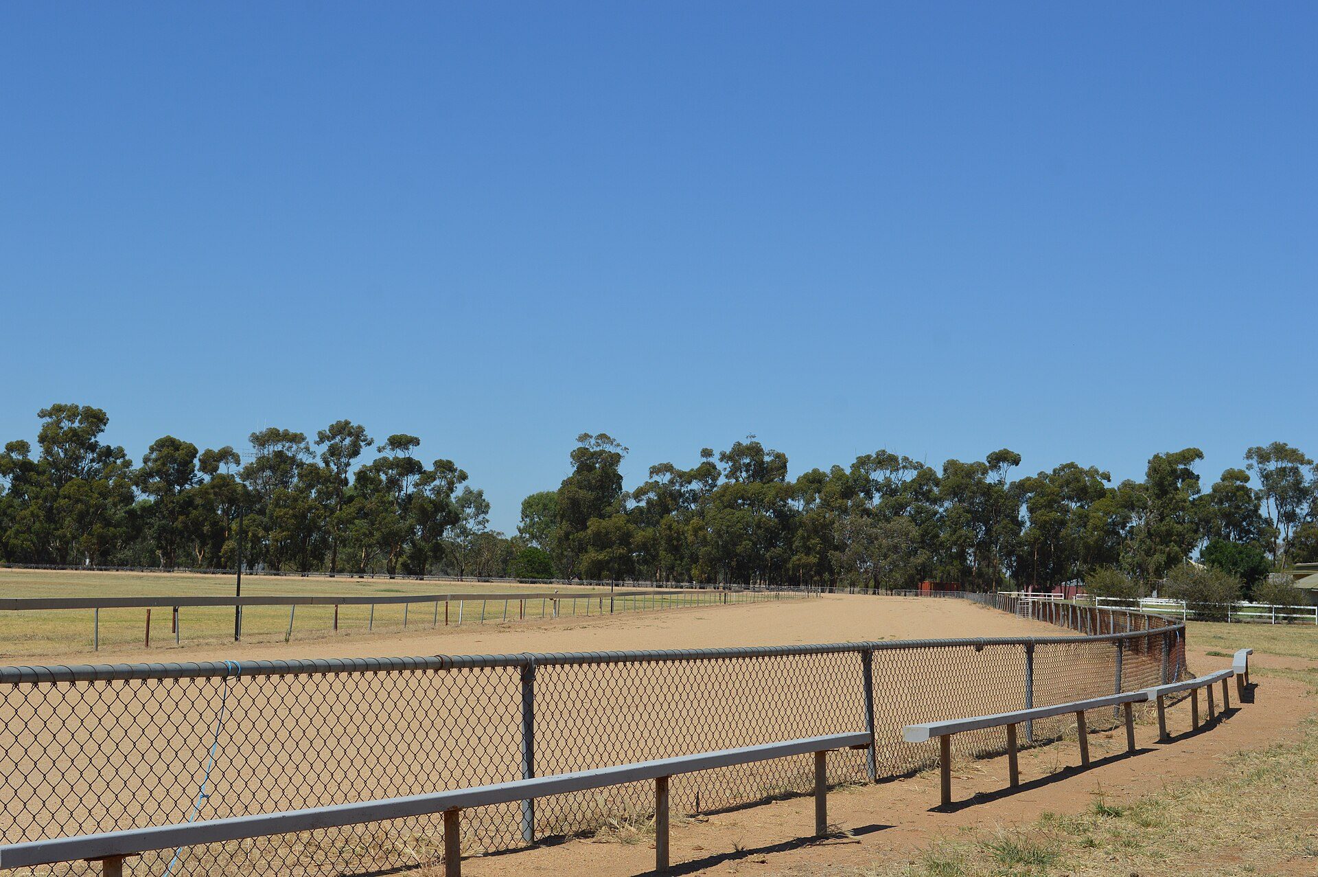 Finley Showground in Finley, NSW — photo 3