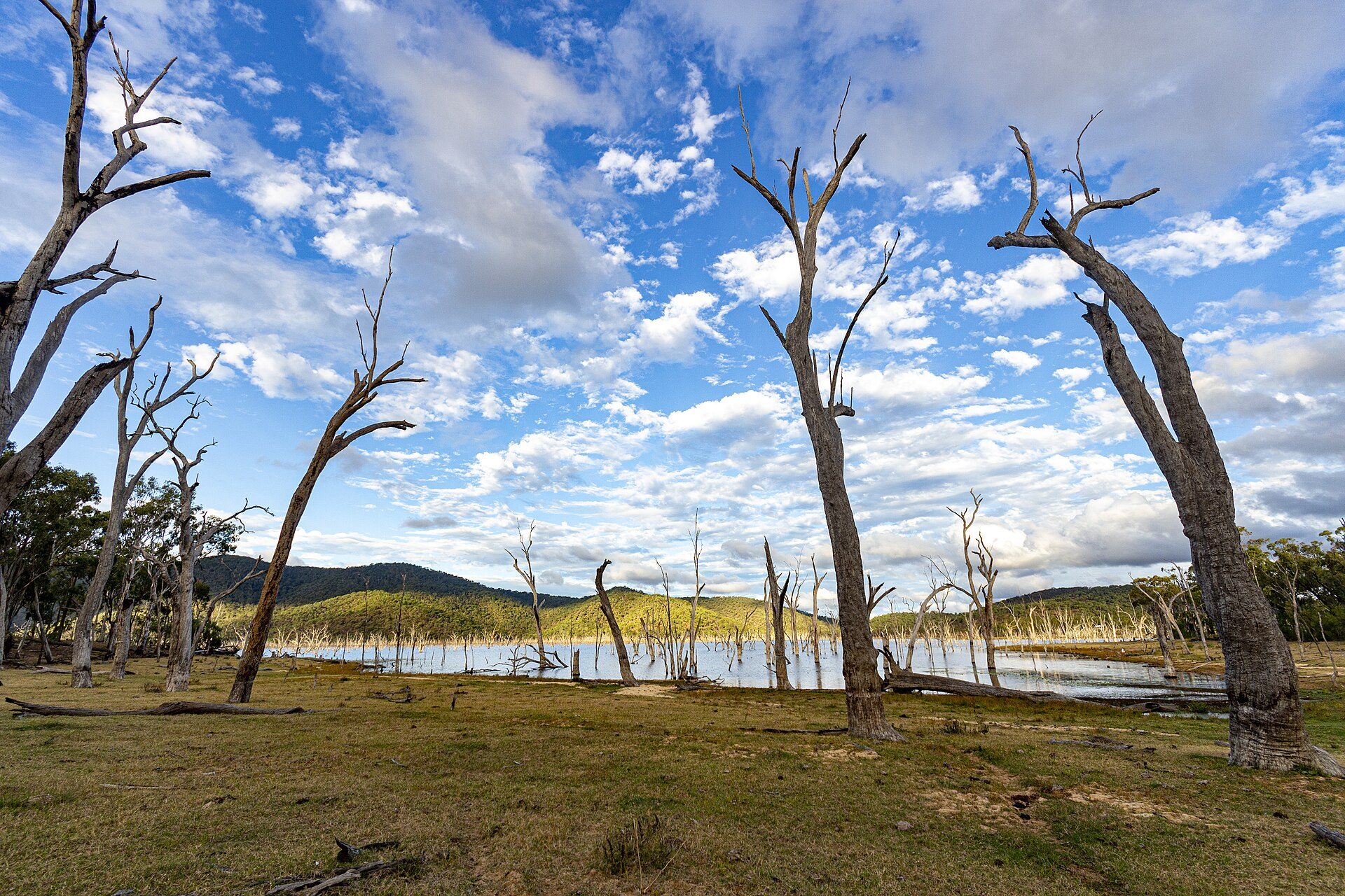 Eungella Dam Campground — Eungella, QLD