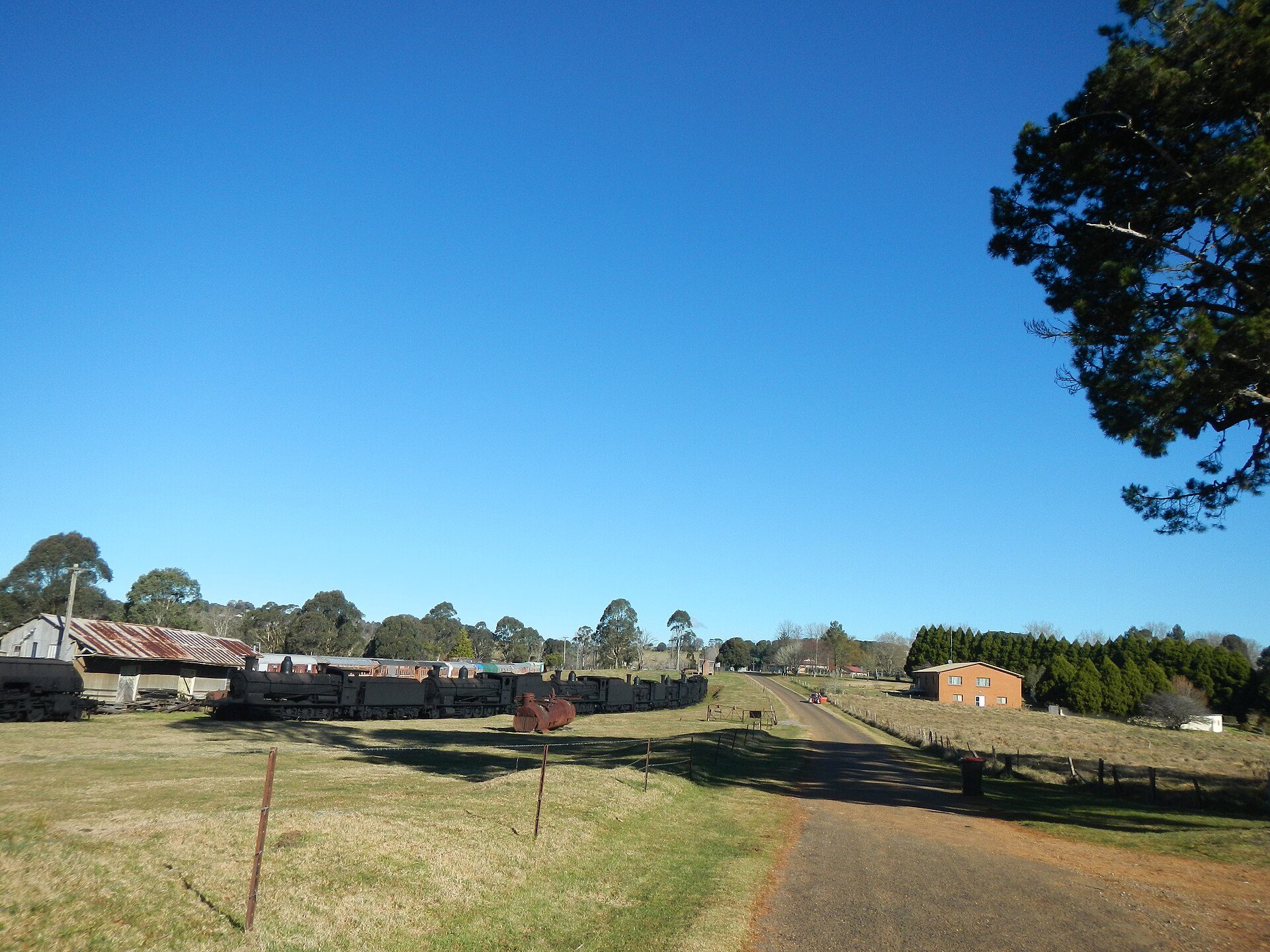 Dorrigo Showground — Dorrigo, NSW