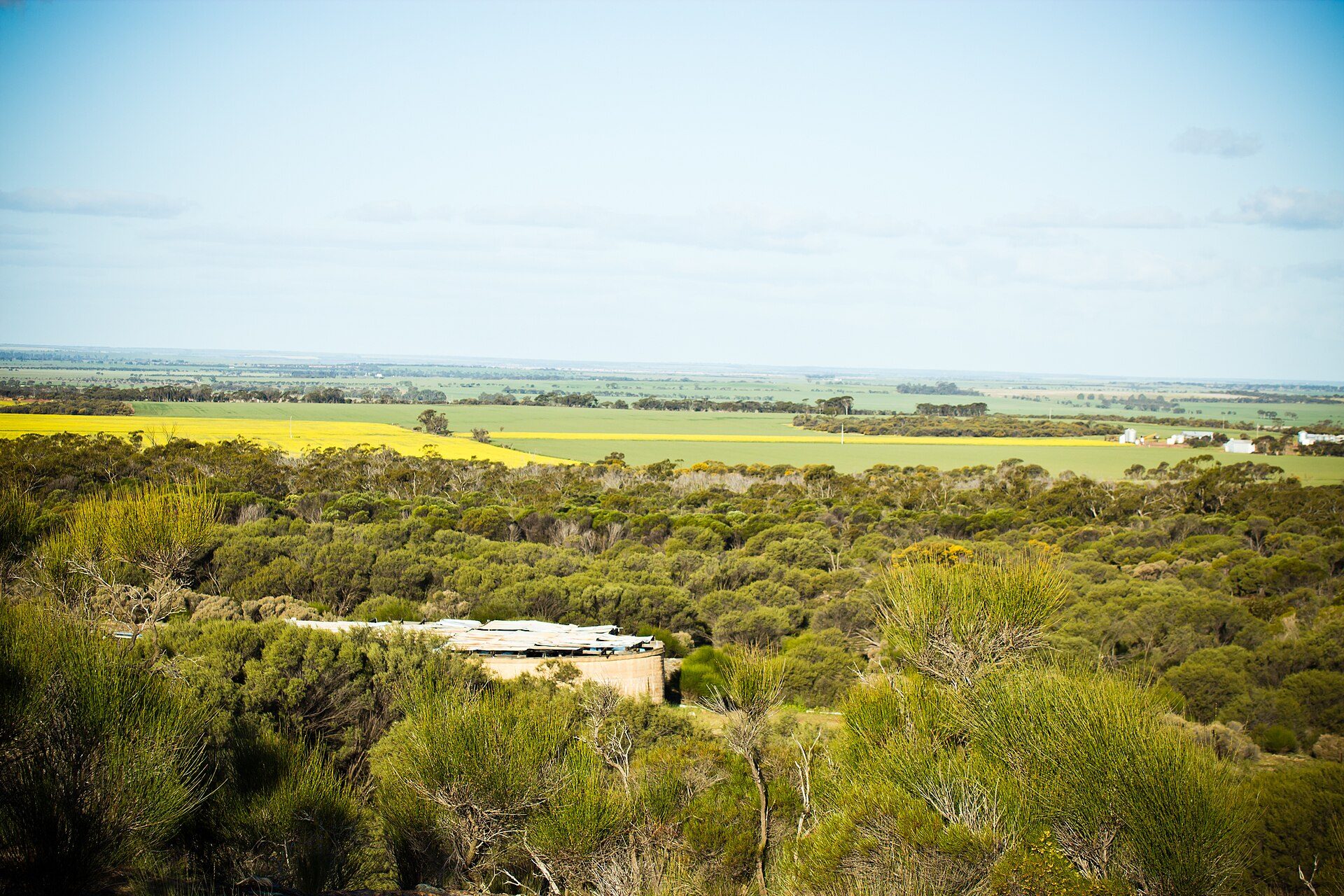 Xantippe Bush Camp — Dalwallinu, WA
