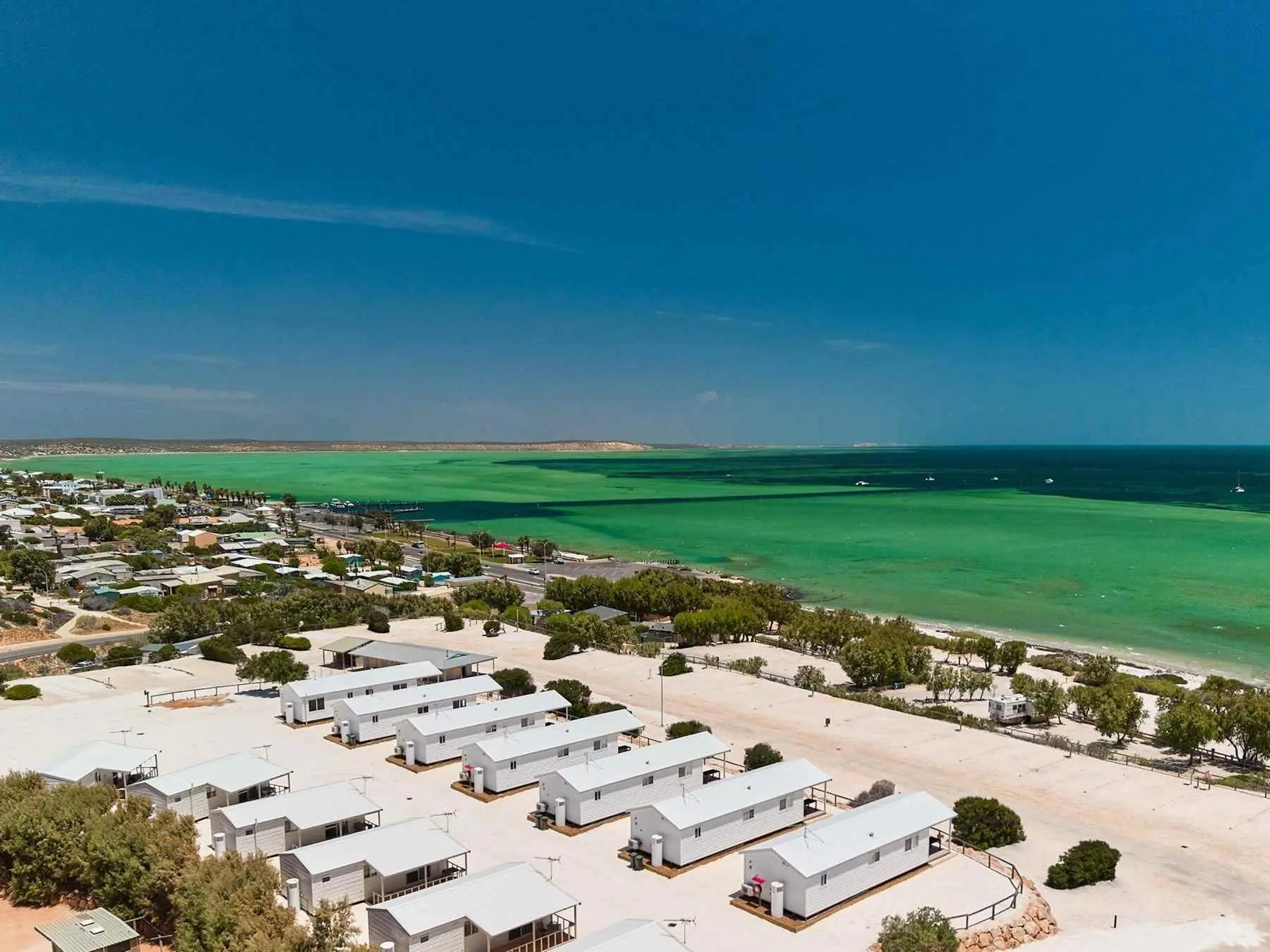 Tasman Holiday Parks Denham Seaside in Denham, WA β photo 5