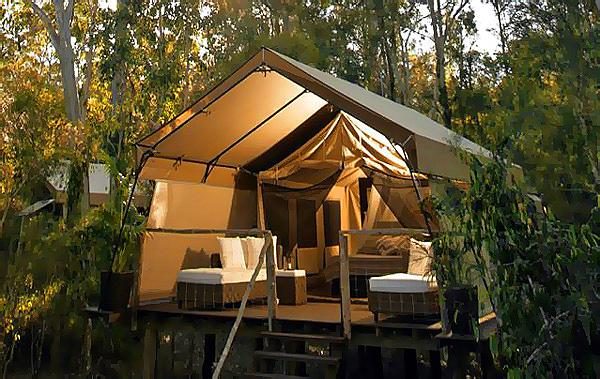 Paperbark Camp in Paperbark Camp, NSW — photo 1
