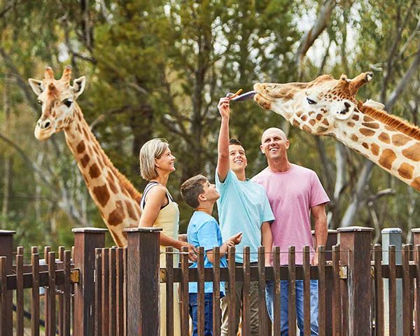 NRMA Dubbo Holiday Park in Dubbo, NSW — photo 5