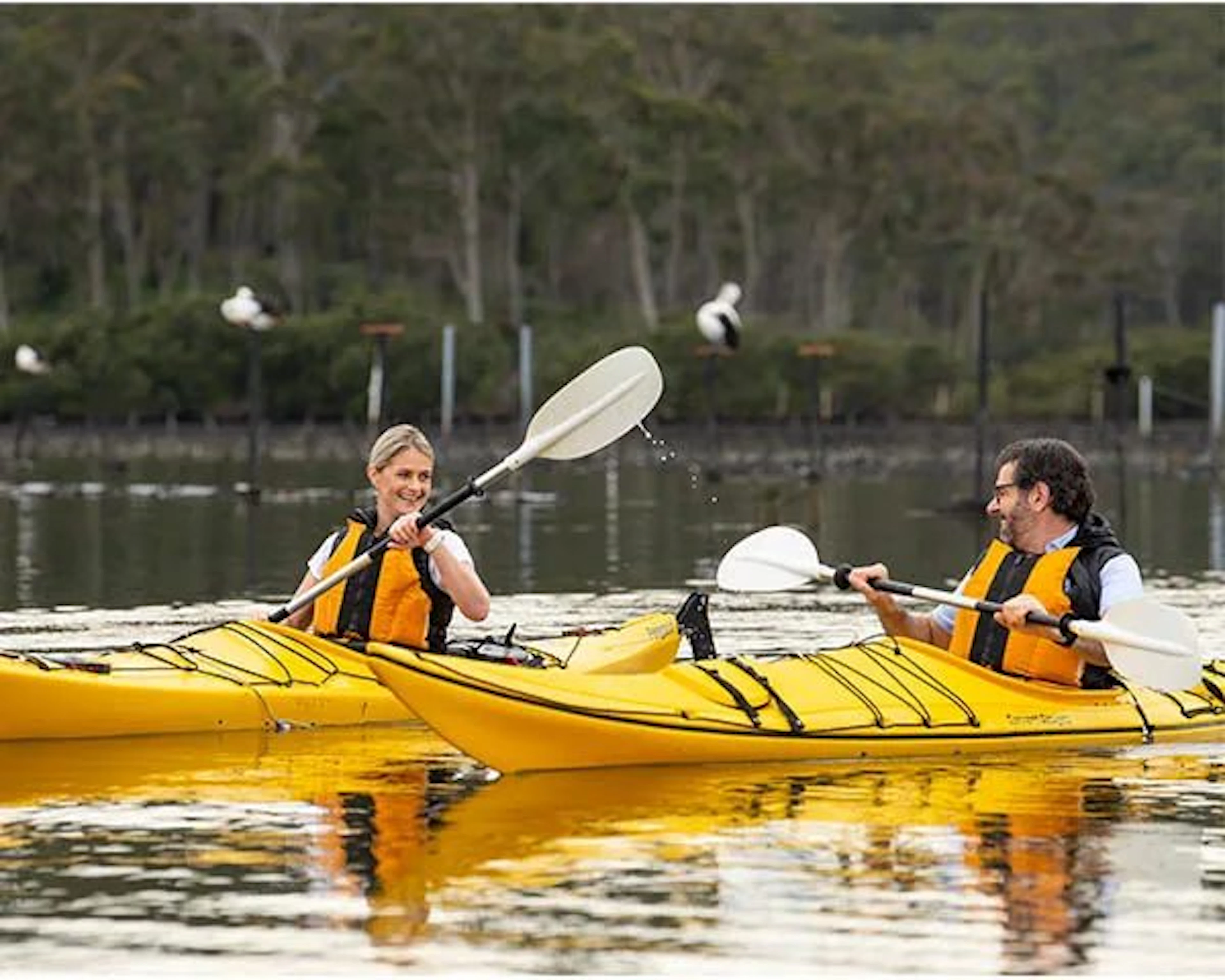 NRMA Batemans Bay Holiday Resort in Batemans Bay, NSW β photo 4