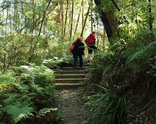 NRMA Batemans Bay Holiday Resort in Batemans Bay, NSW — photo 3