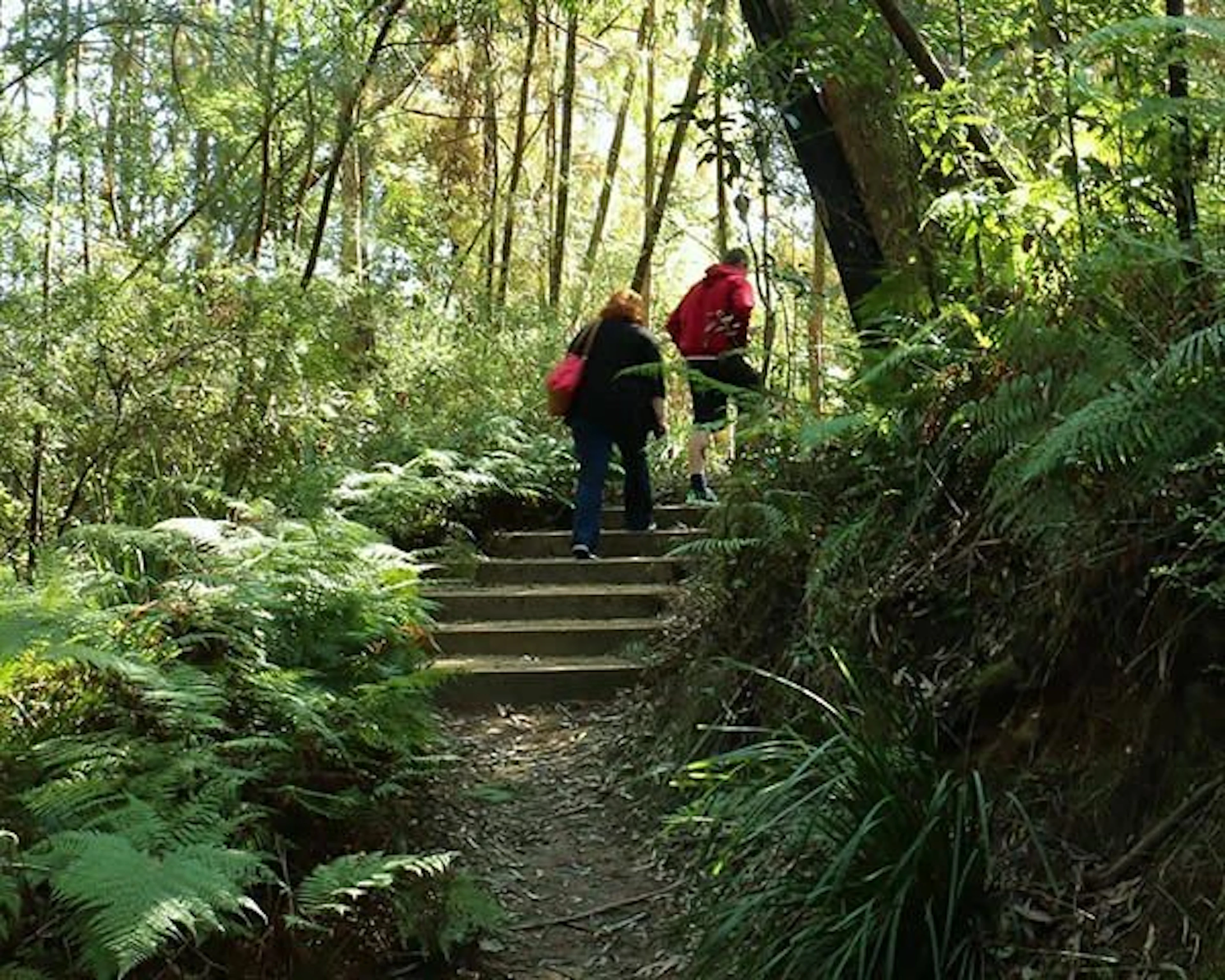 NRMA Batemans Bay Holiday Resort in Batemans Bay, NSW — photo 3