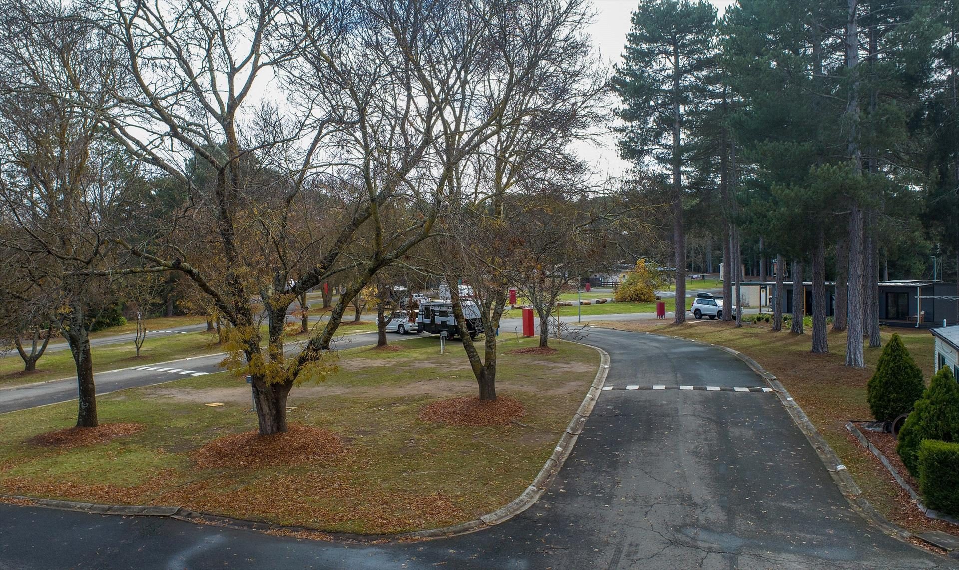 Creswick Holiday Park in Creswick, VIC — photo 3