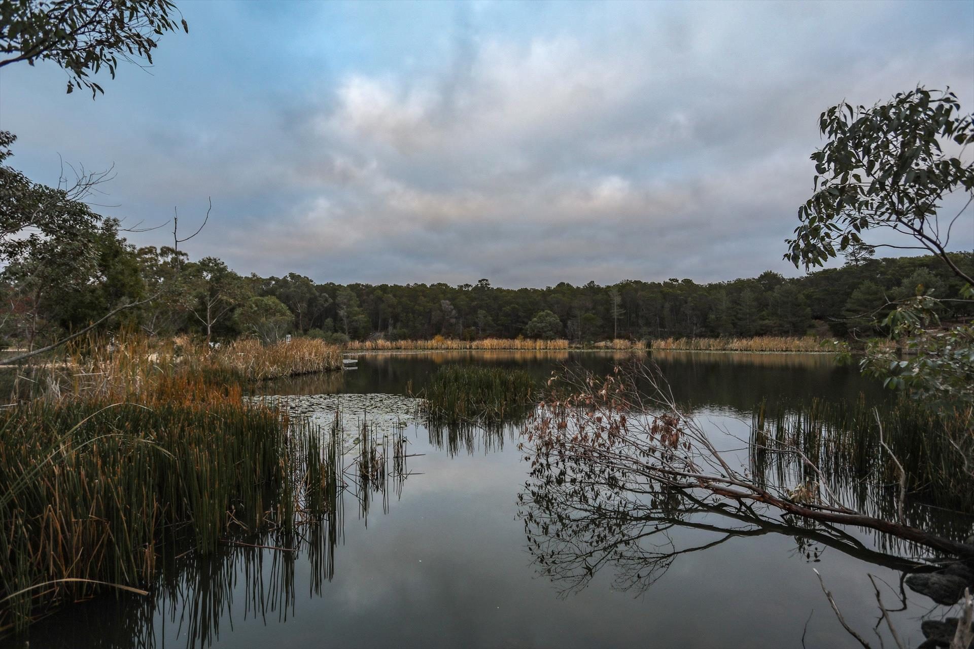 Creswick Holiday Park in Creswick, VIC — photo 5