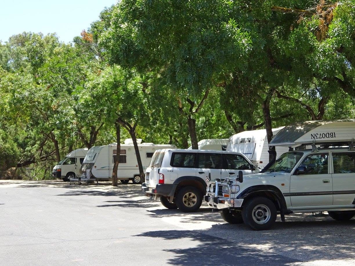 Adelaide Caravan Park in Adelaide, SA — photo 4