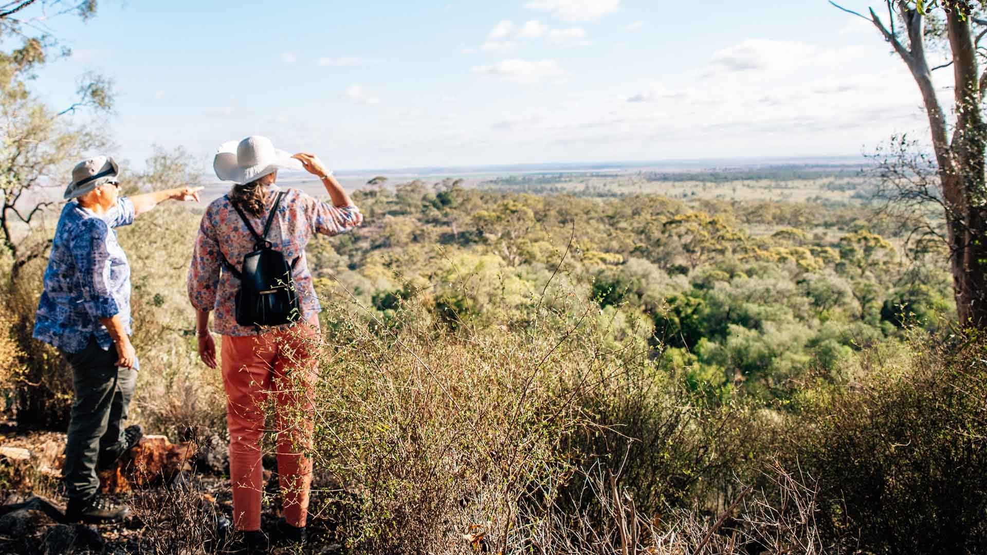 Boobook Explore in Roma, QLD — photo 1