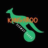 Kangaroo Segway Tours in Bulimba, QLD — photo 5