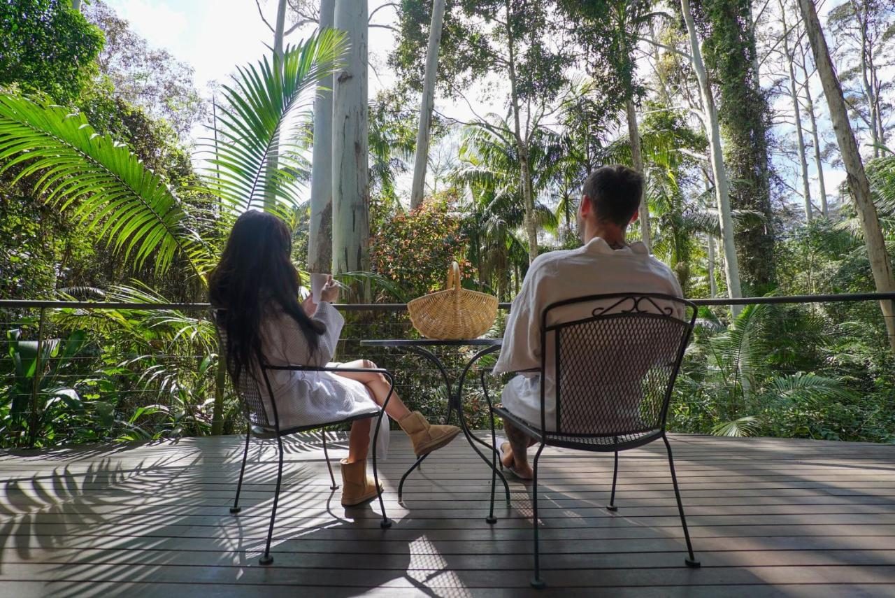 Pethers Rainforest Retreat in Tamborine Mountain, QLD — photo 4