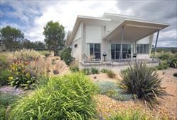 Azjure in Ballandean, QLD — photo 4
