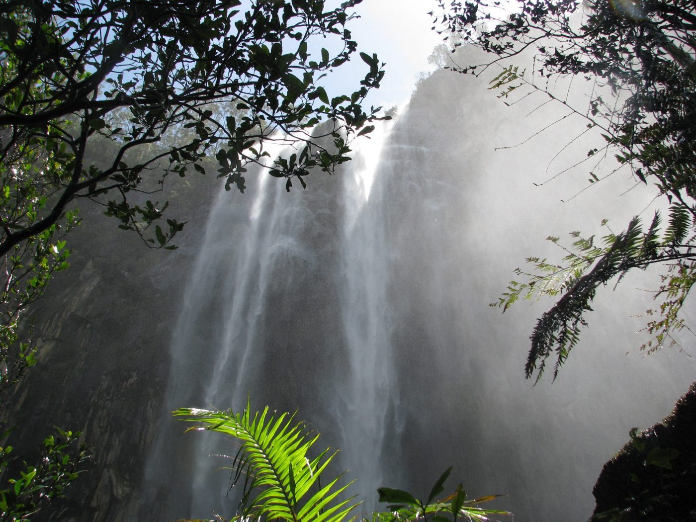 Vision Walks - Eco Tours in Byron Bay, NSW — photo 3