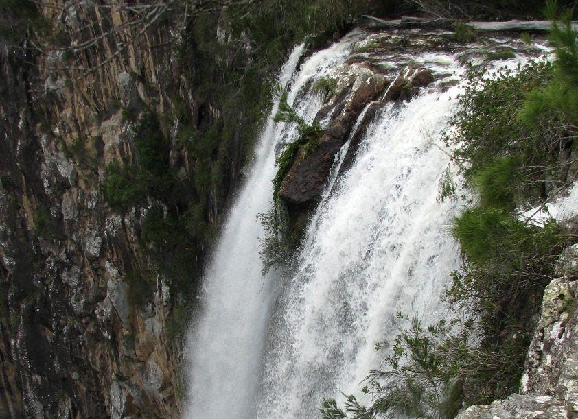 Vision Walks - Eco Tours in Byron Bay, NSW — photo 1