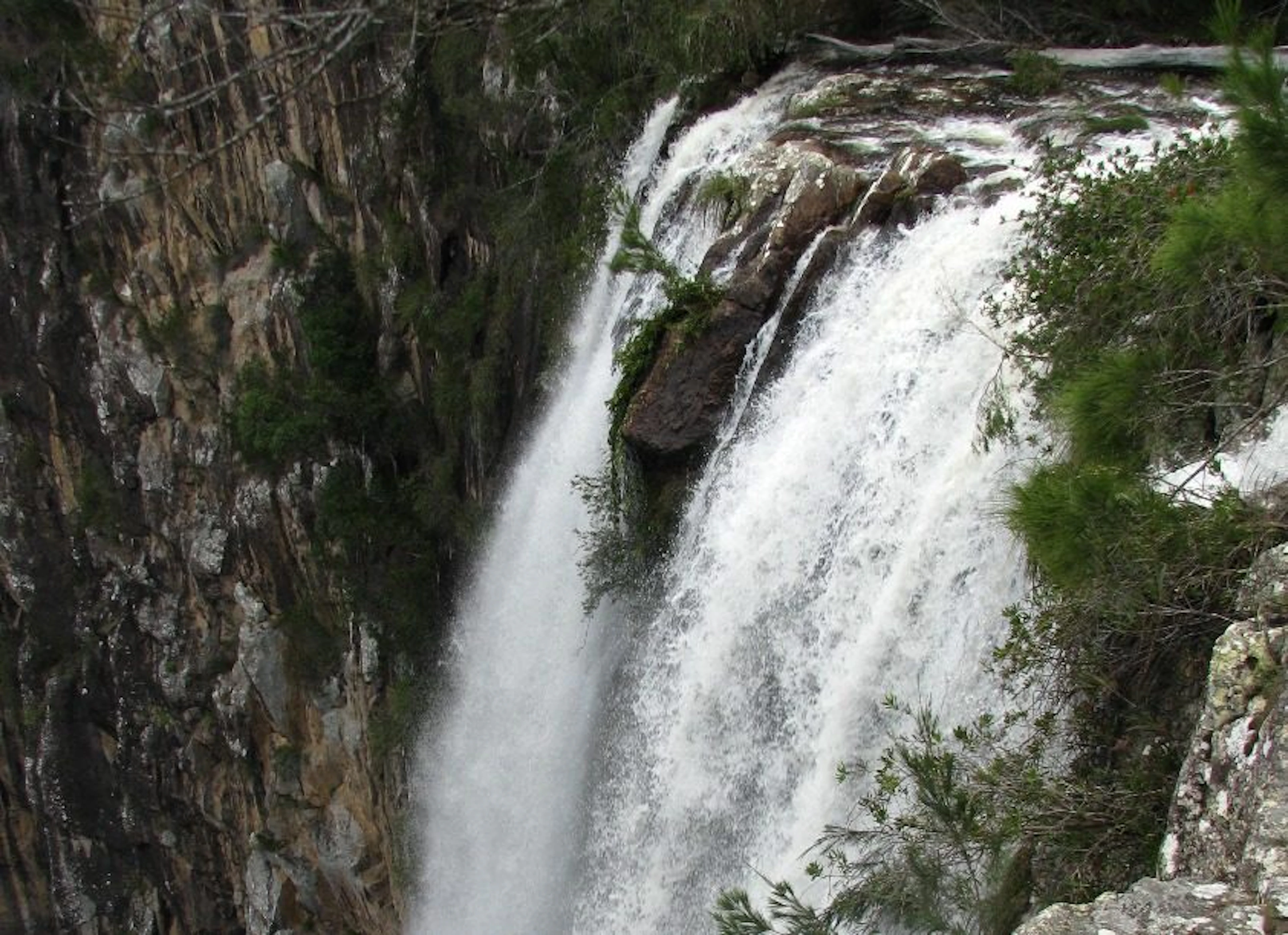 Vision Walks - Eco Tours in Byron Bay, NSW — photo 1
