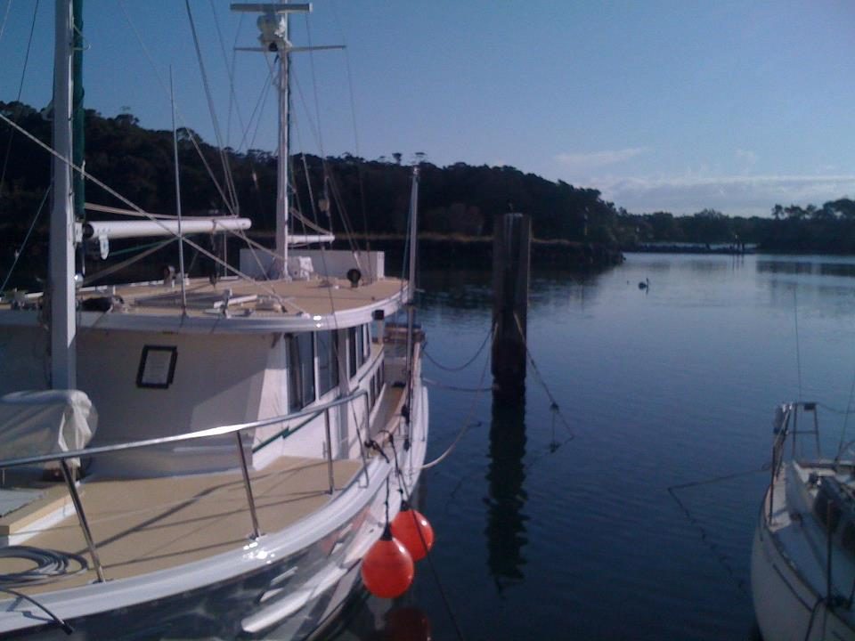 Vision Walks - Eco Tours in Byron Bay, NSW — photo 4