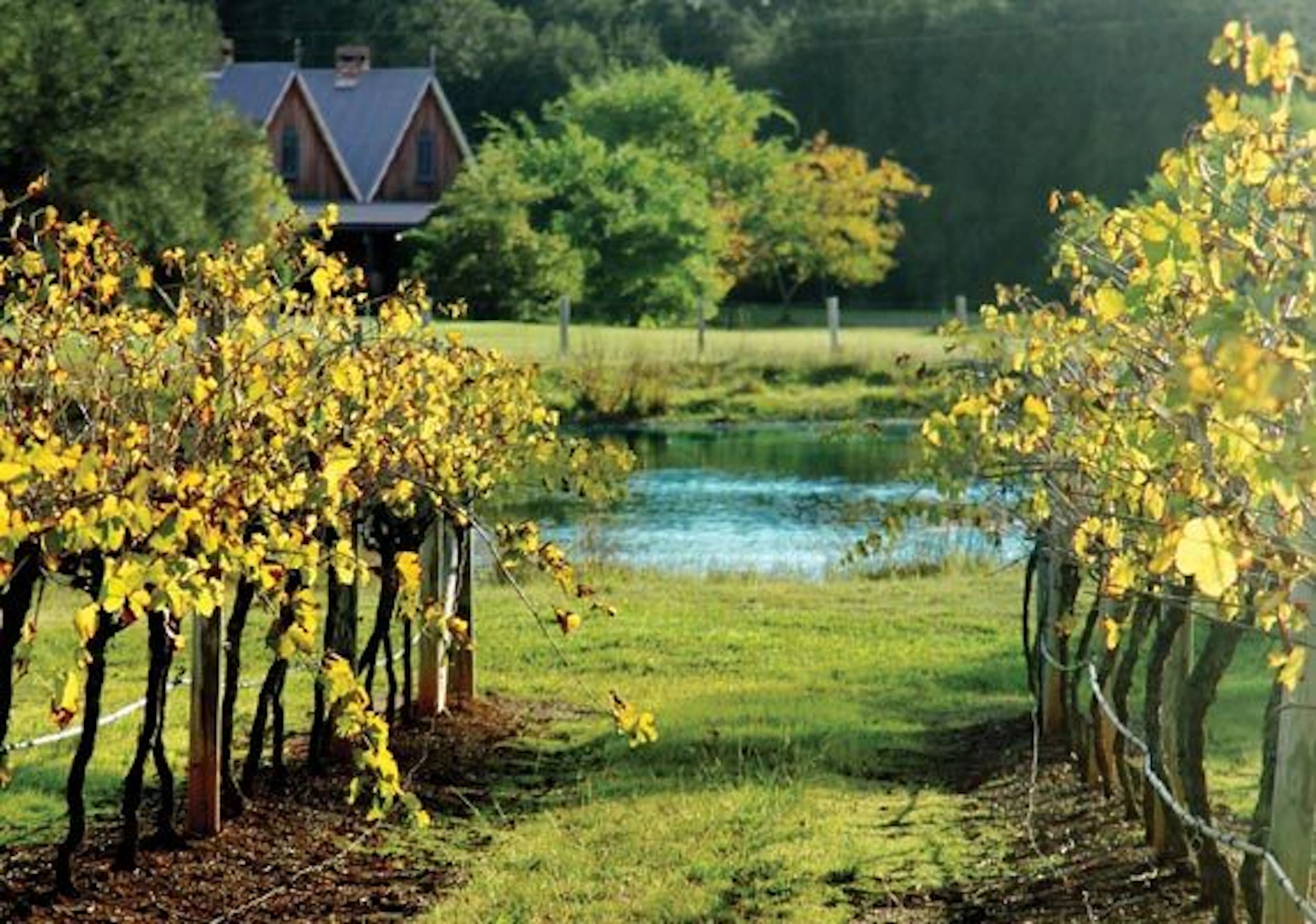 Carriages Boutique Hotel & Vineyard in Pokolbin, NSW — photo 1