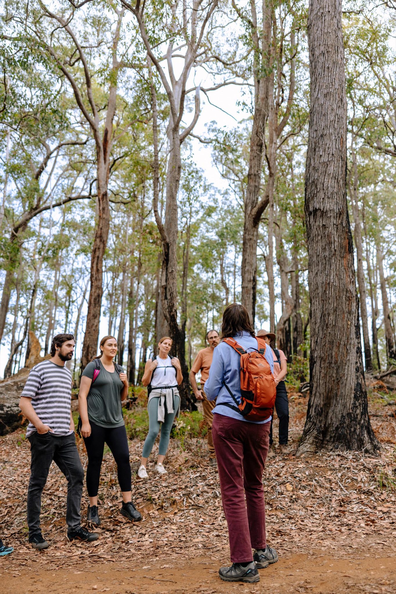 Forest Explorers in Collie, WA — photo 4