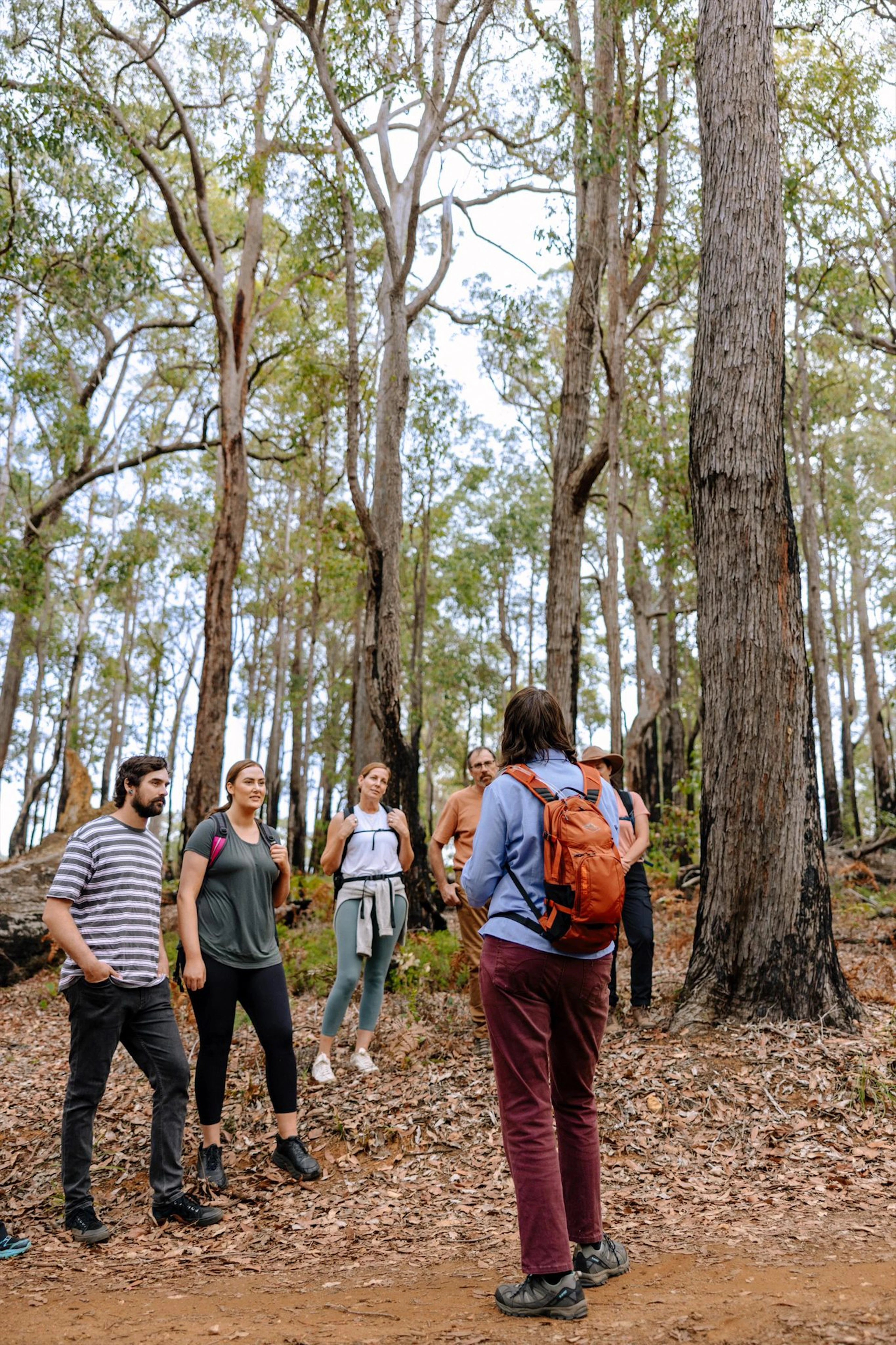 Forest Explorers in Collie, WA — photo 4