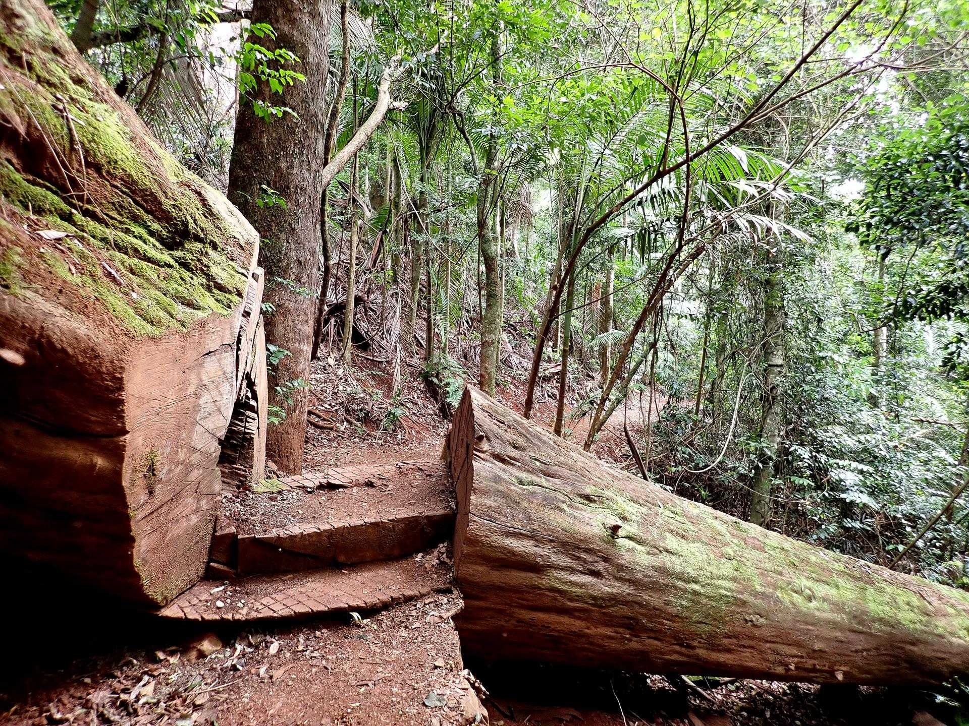 Brisbane Nature Tours in Brighton, QLD — photo 2