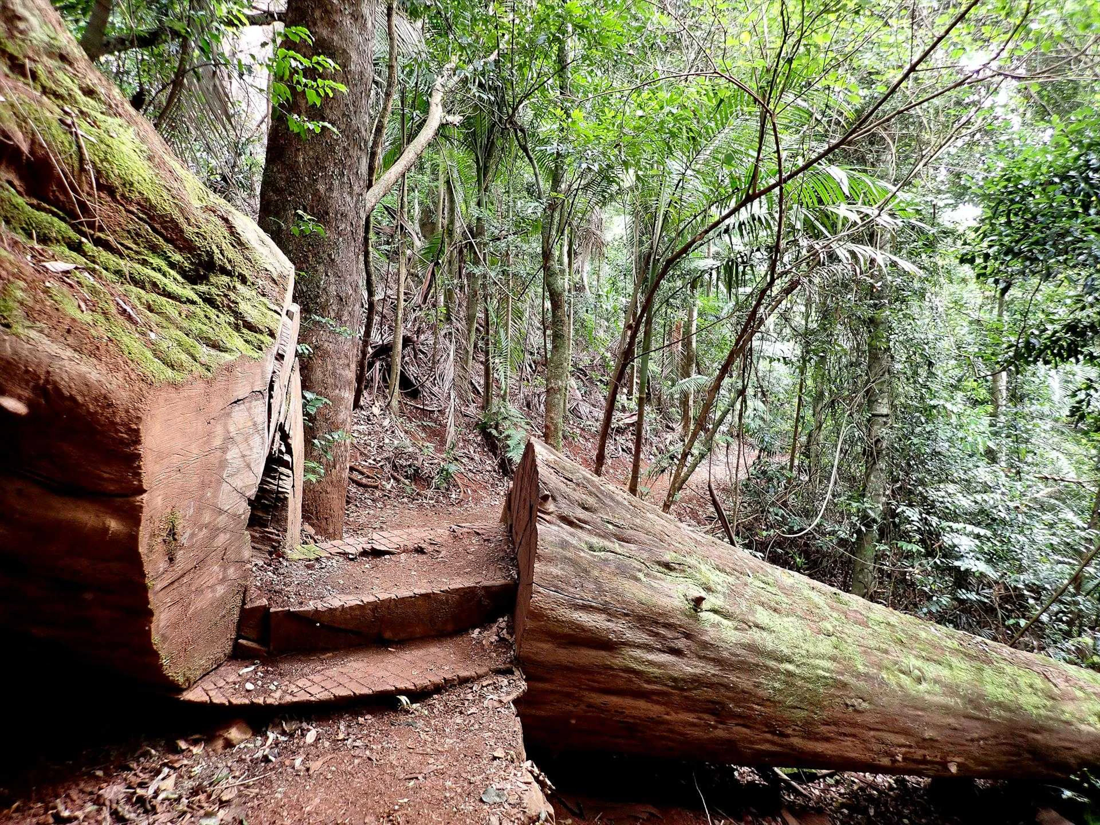 Brisbane Nature Tours in Brighton, QLD — photo 2