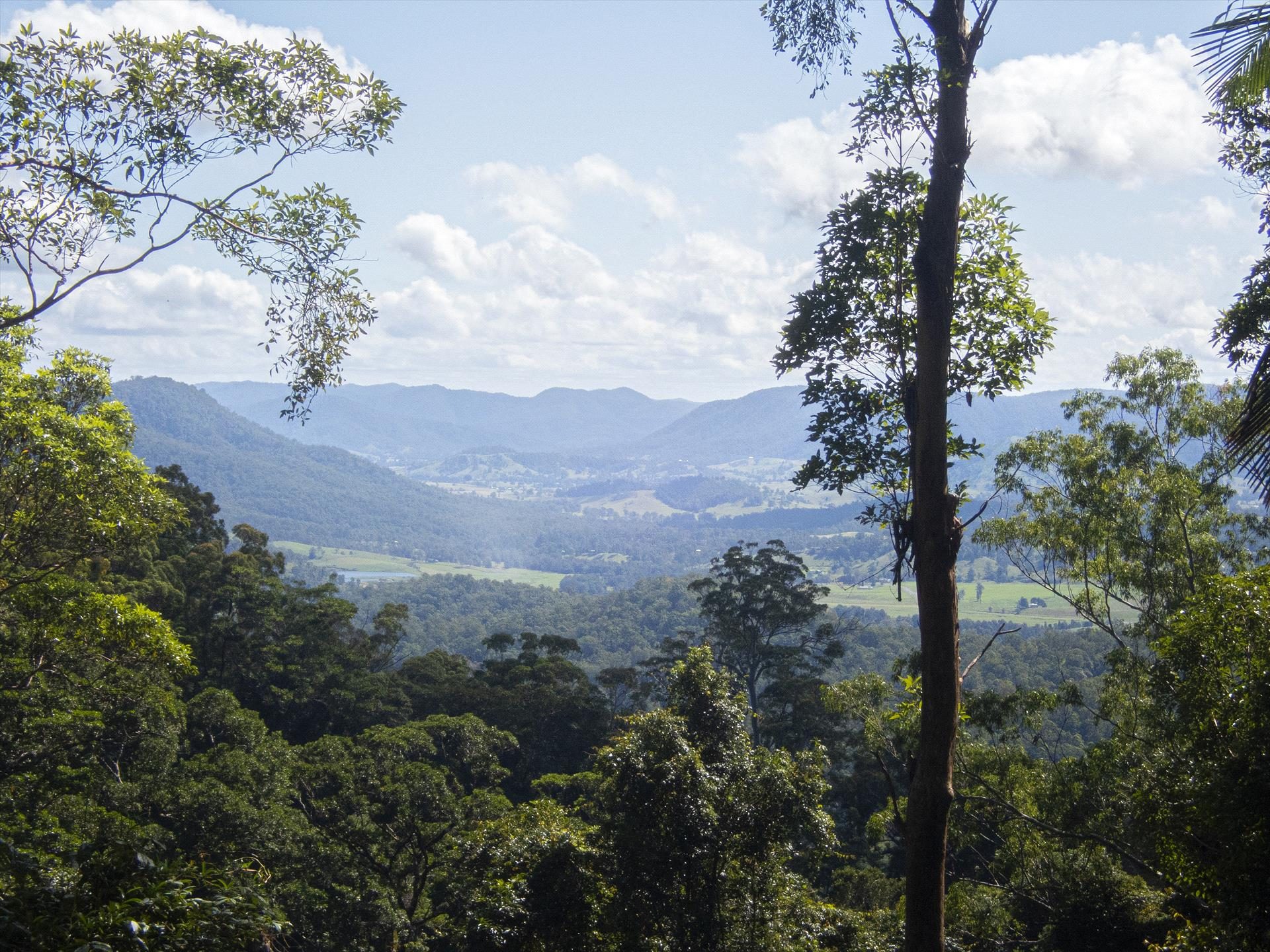 Brisbane Nature Tours in Brighton, QLD — photo 5