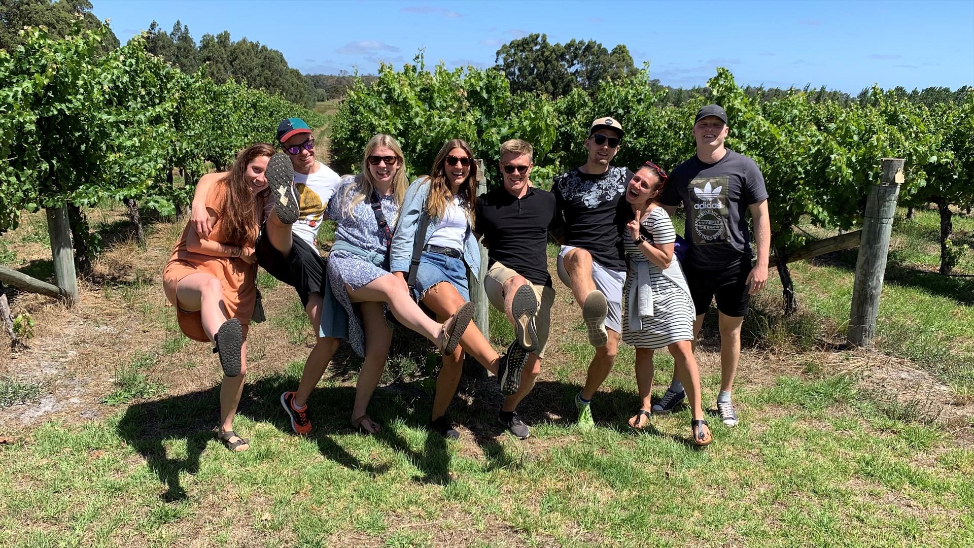 Cheers Winery & Scenic Tours in Margaret River, WA — photo 2
