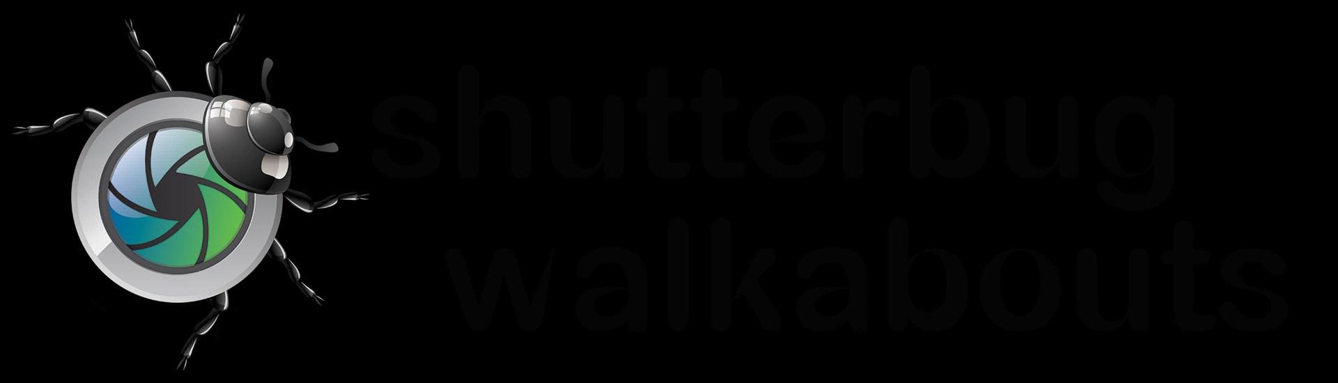 Shutterbug Walkabouts - Photography Tours and Outdoor Workshops in Hobart, TAS — photo 3