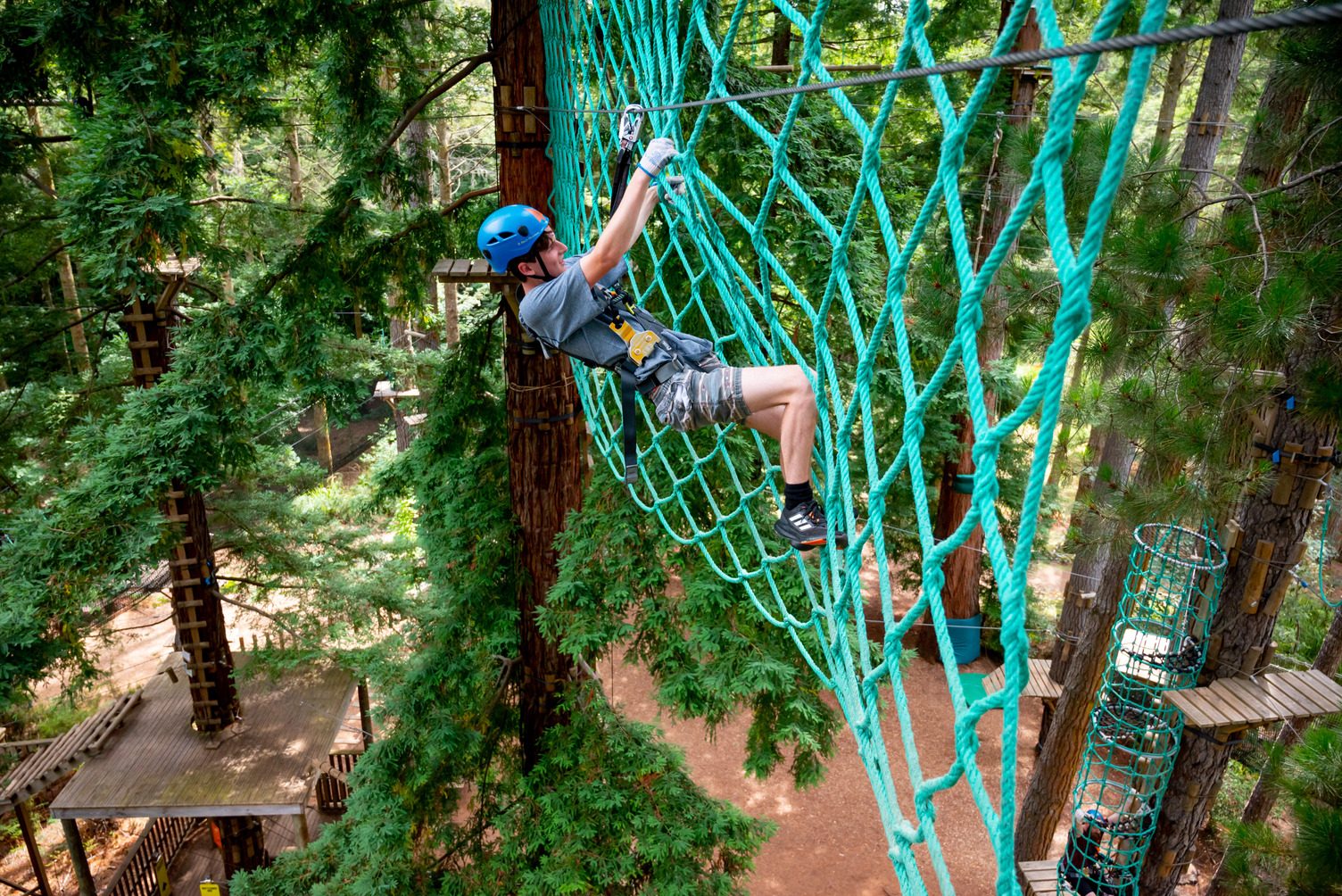 Treetops Adventure Canberra in Majura, ACT — photo 5