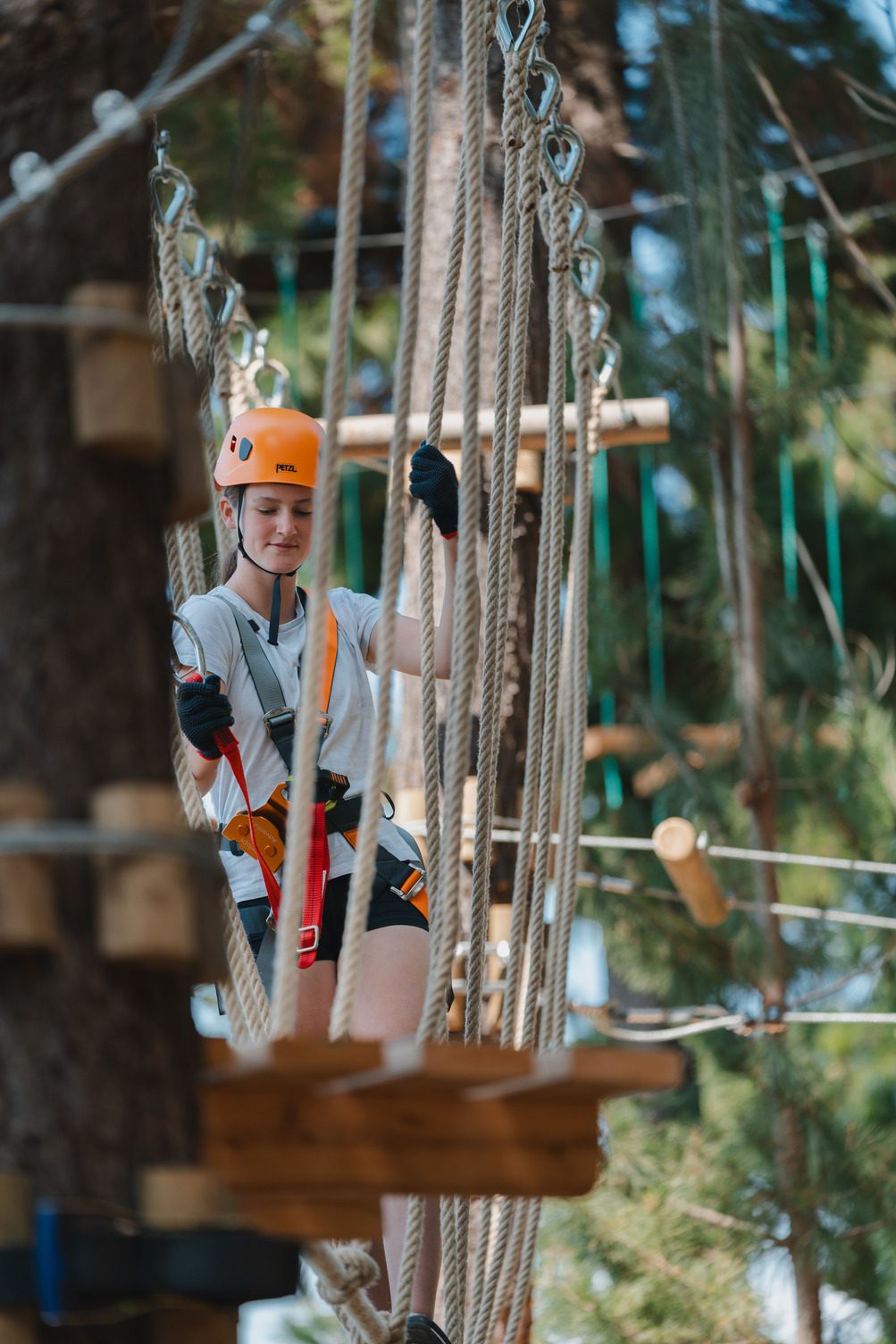 Treetops Adventure Canberra in Majura, ACT — photo 5